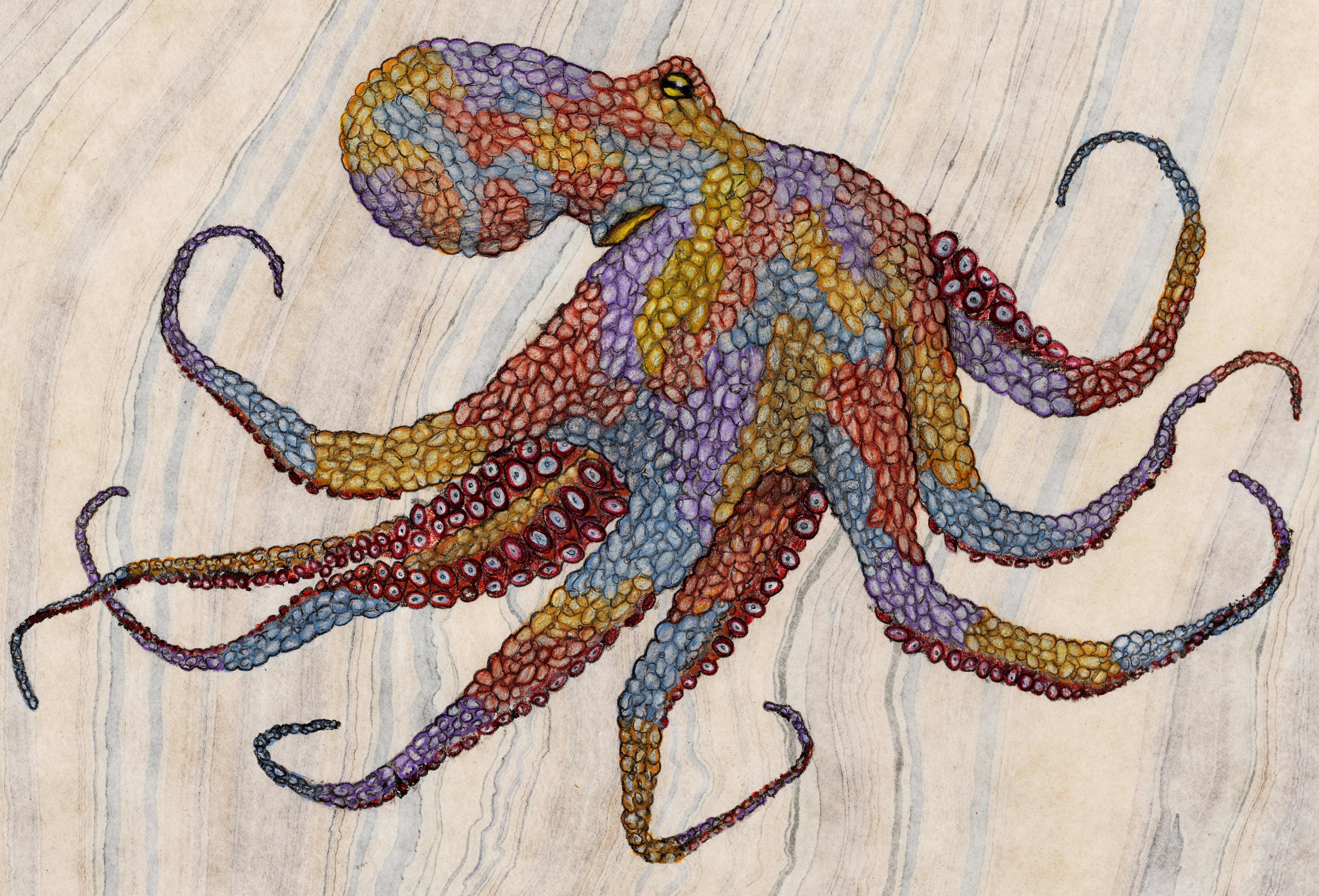 japanese style octopus
