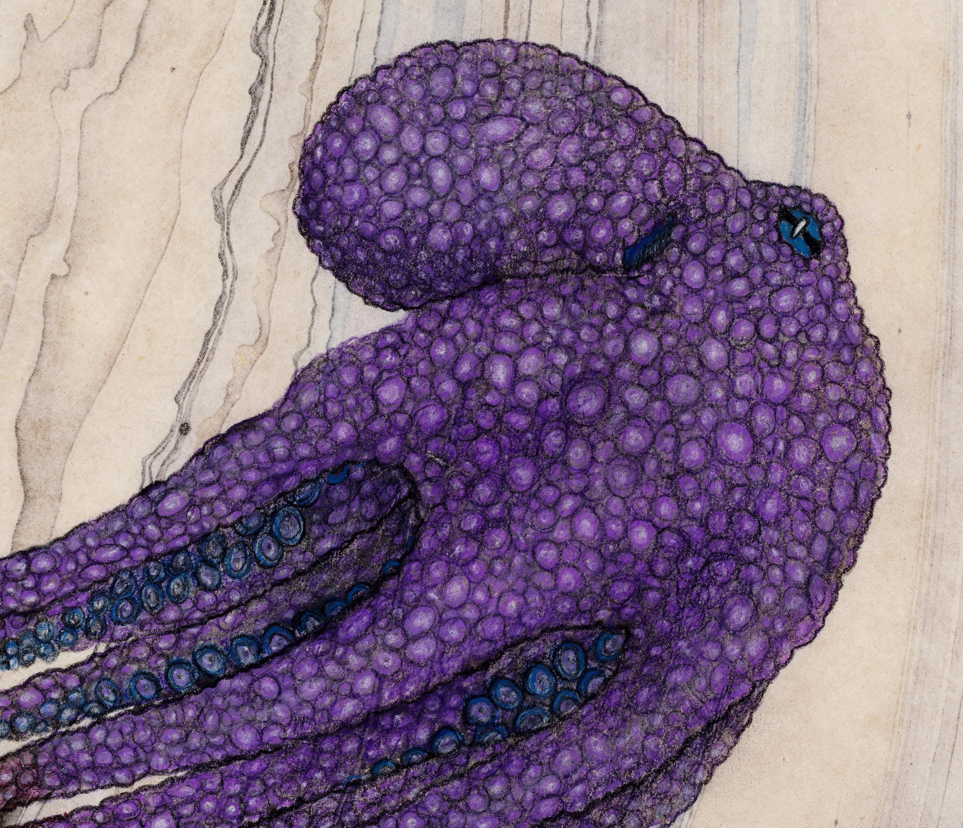 Lila Nussbaum – Sumi-Tintegemälde im Gyotaku-Stil eines lilafarbenen Octopus  (Zeitgenössisch), Painting, von Jeff Conroy