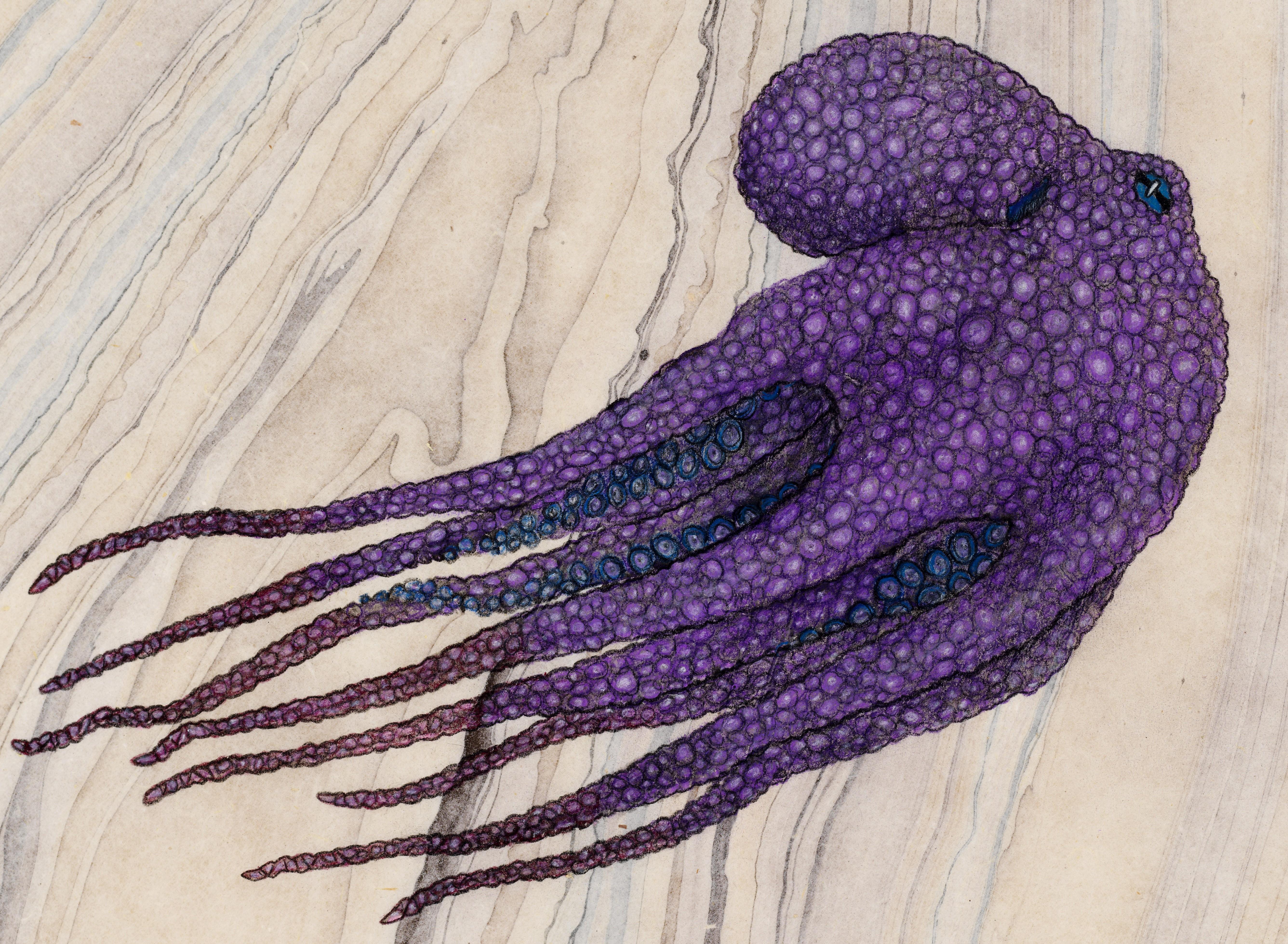 Lila Nussbaum – Sumi-Tintegemälde im Gyotaku-Stil eines lilafarbenen Octopus  – Painting von Jeff Conroy