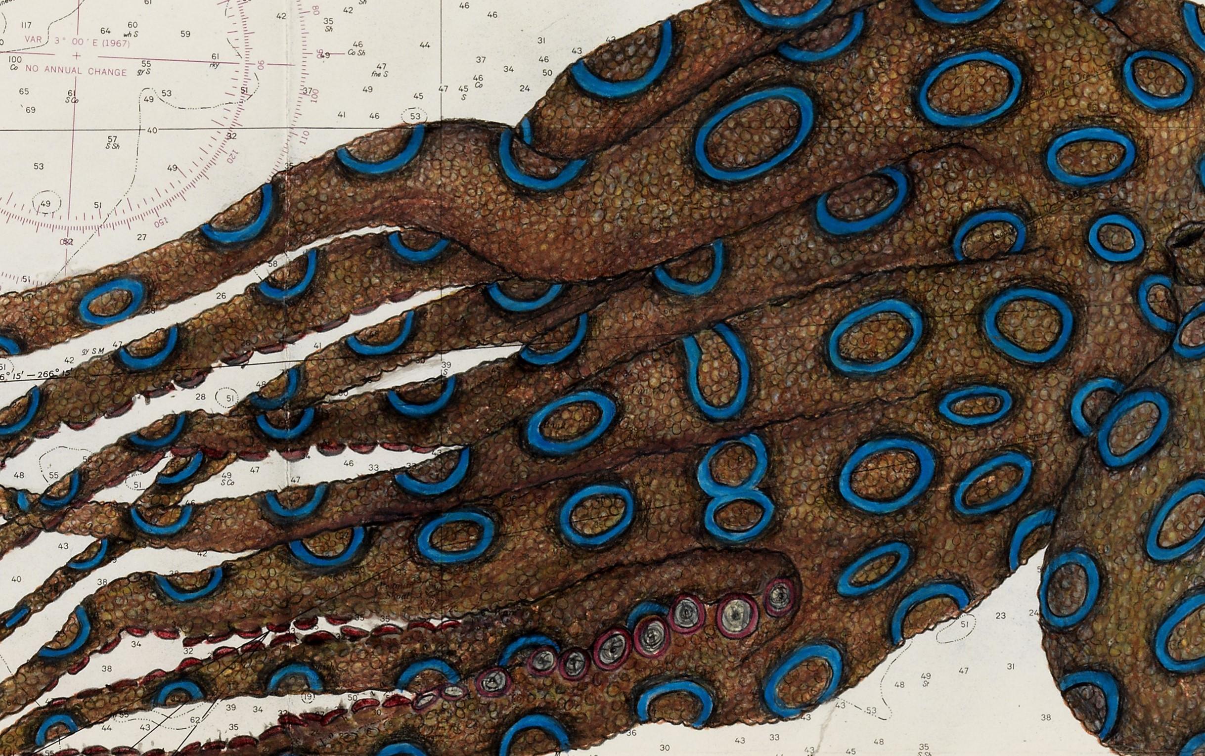 Der blaue Ring des Cape Fourcroy - Gyotaku-Gemälde des Achtecks auf nautischer Karte – Art von Jeff Conroy