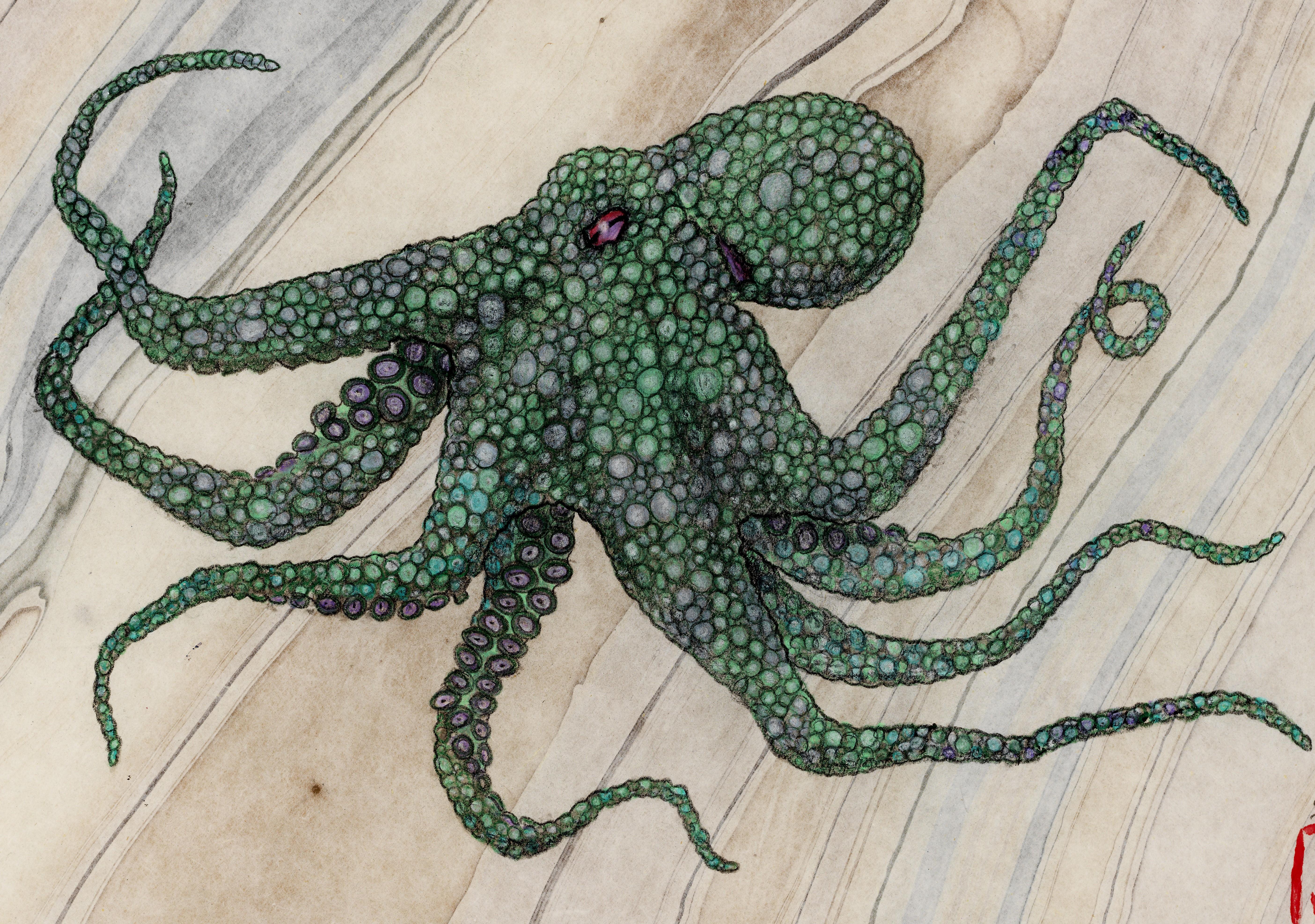 Absinthe Makes The Heart Grow Fonder - Octopus, Sumi-Tinte-Gemälde im Gyotaku-Stil – Art von Jeff Conroy