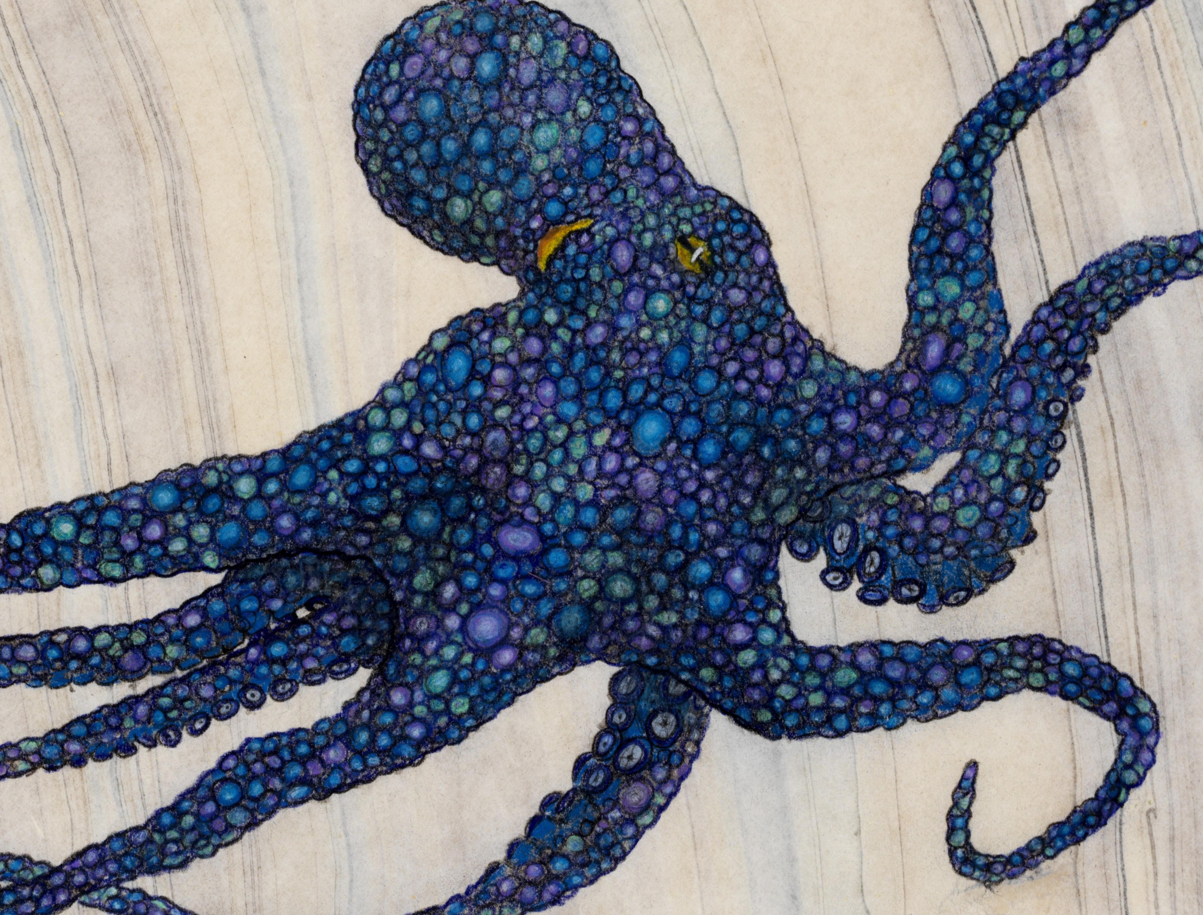 octopus string art