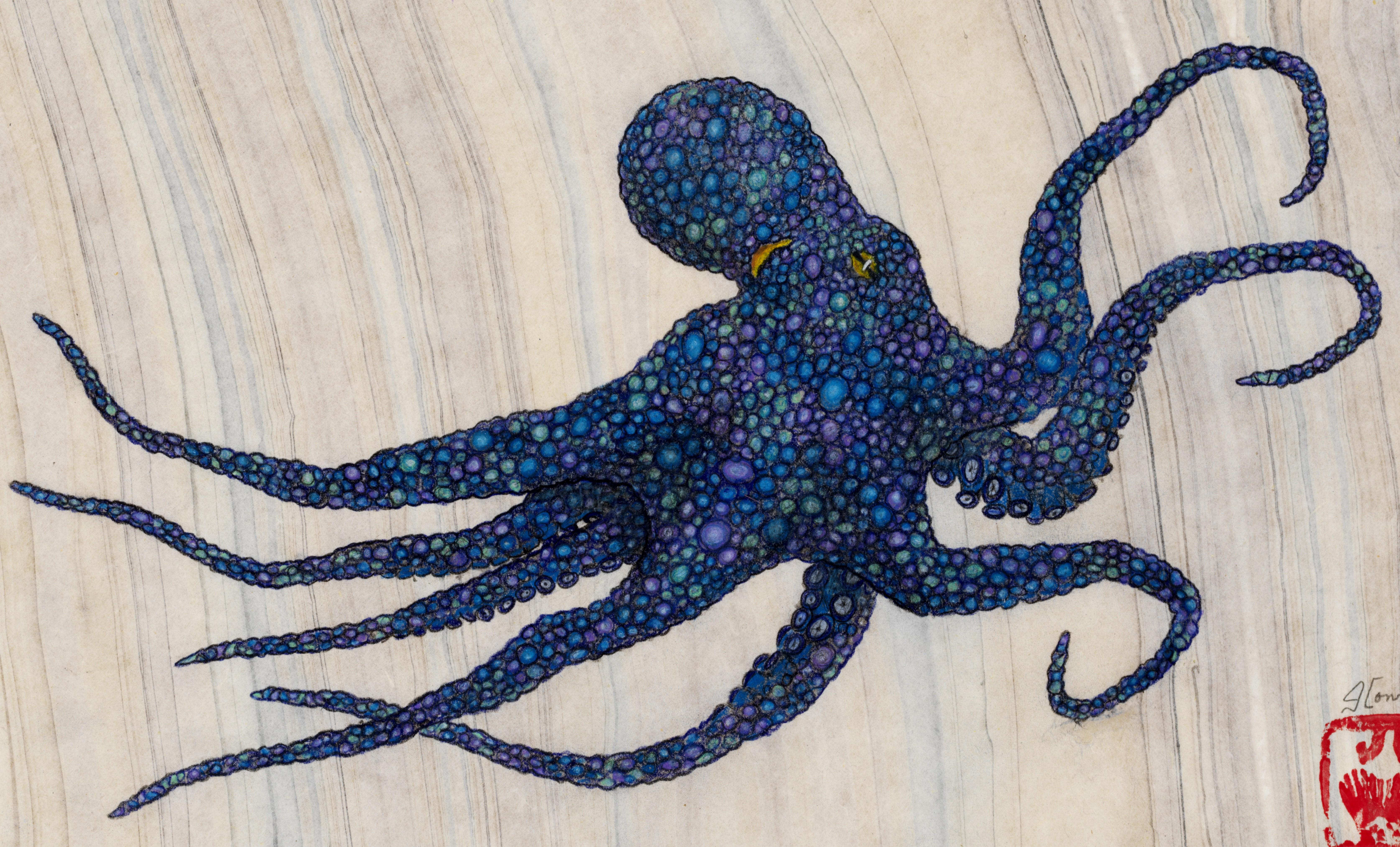 Boo Berry - Gyotaku Style Sumi Ink Painting of a Multi-Colored Octopus - Art by Jeff Conroy