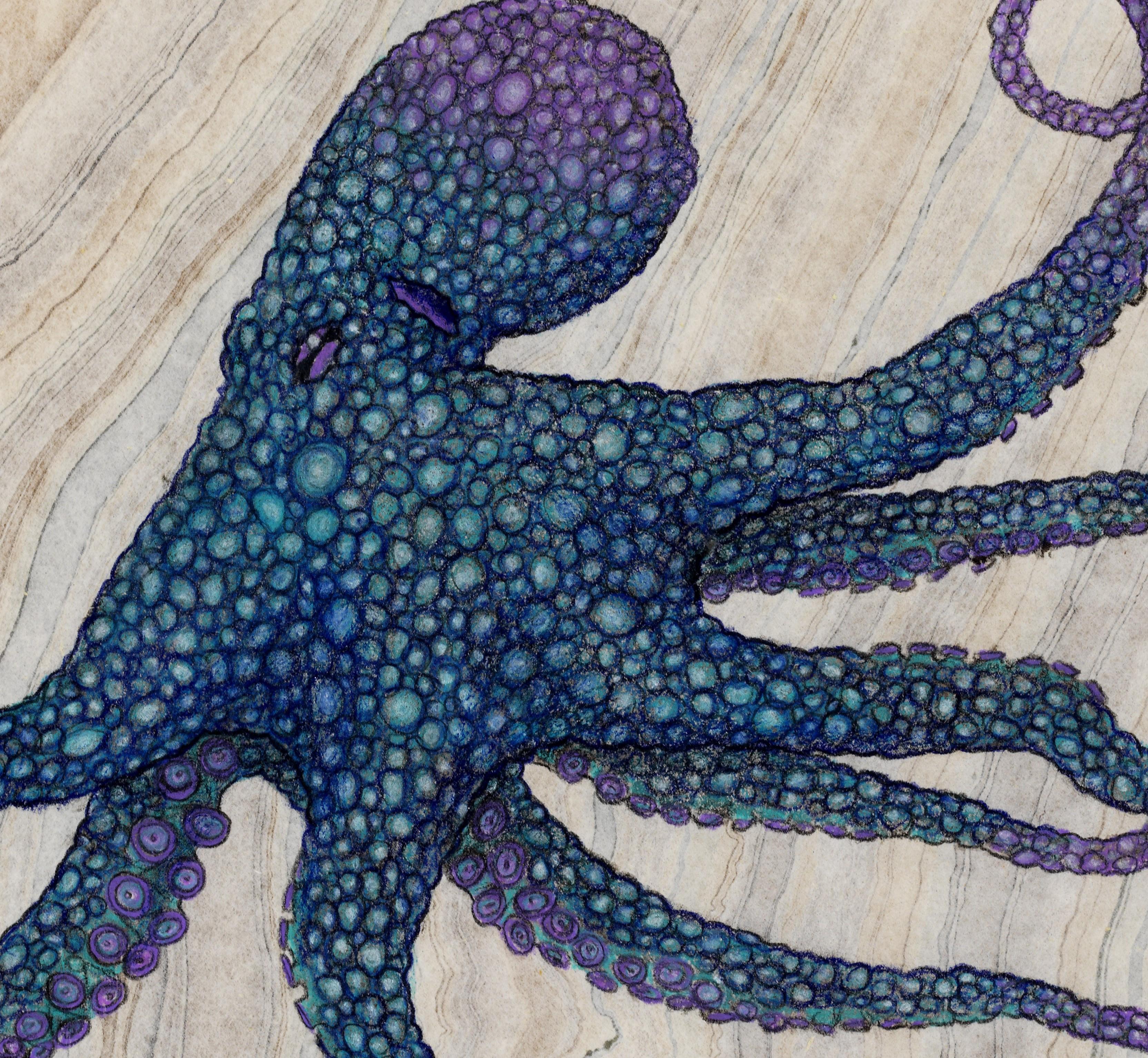 octopus string art