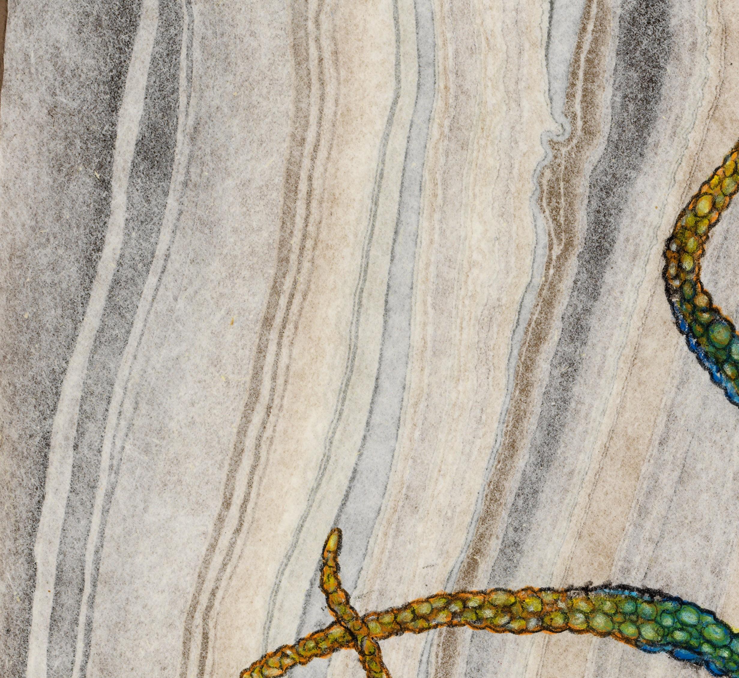 Kobaltkanarisches Sumi-Tintegemälde im Gyotaku-Stil, mehrfarbiger Octopus, gerahmt im Angebot 1