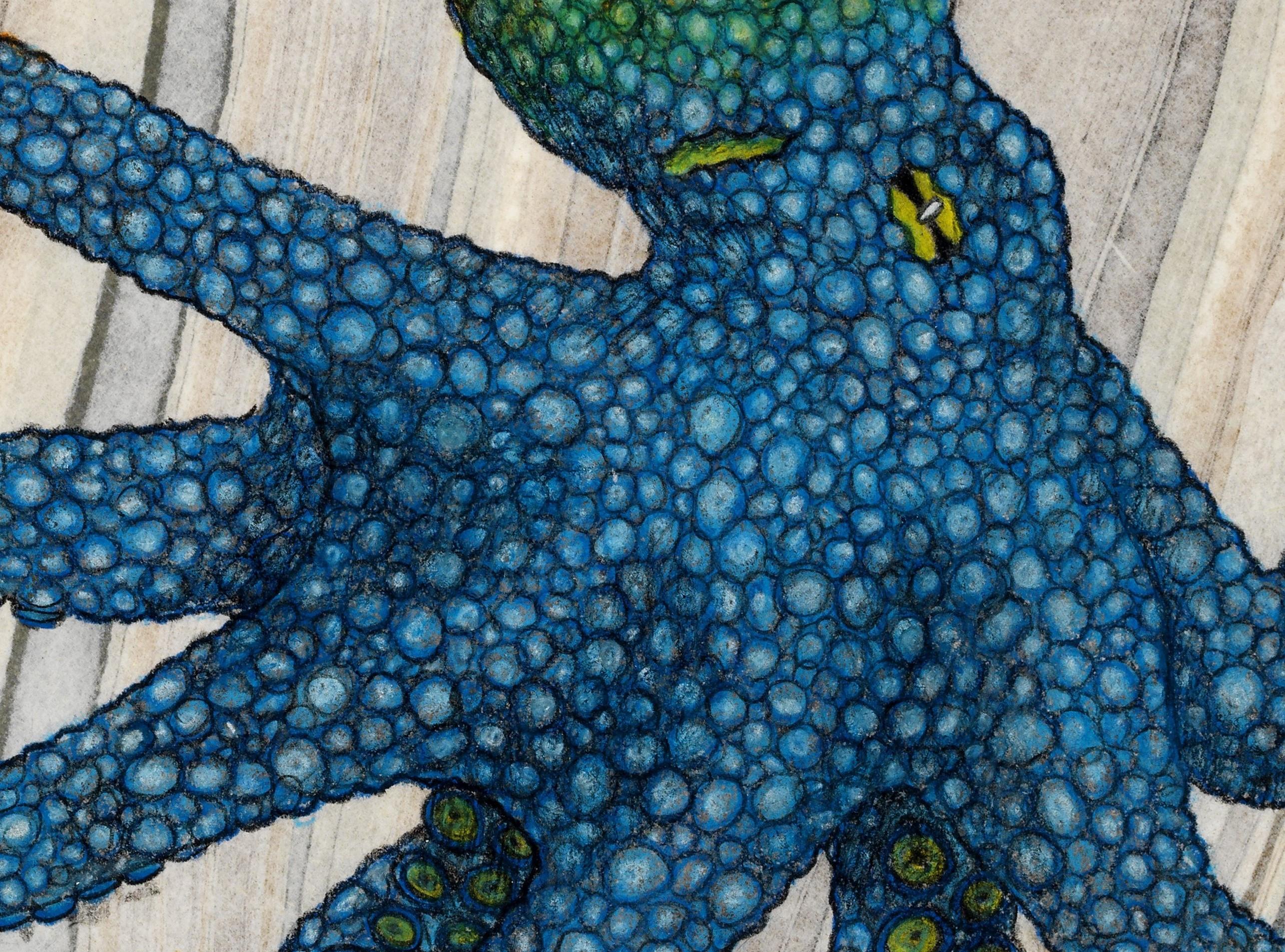 Kobaltkanarisches Sumi-Tintegemälde im Gyotaku-Stil, mehrfarbiger Octopus, gerahmt (Grau), Animal Art, von Jeff Conroy