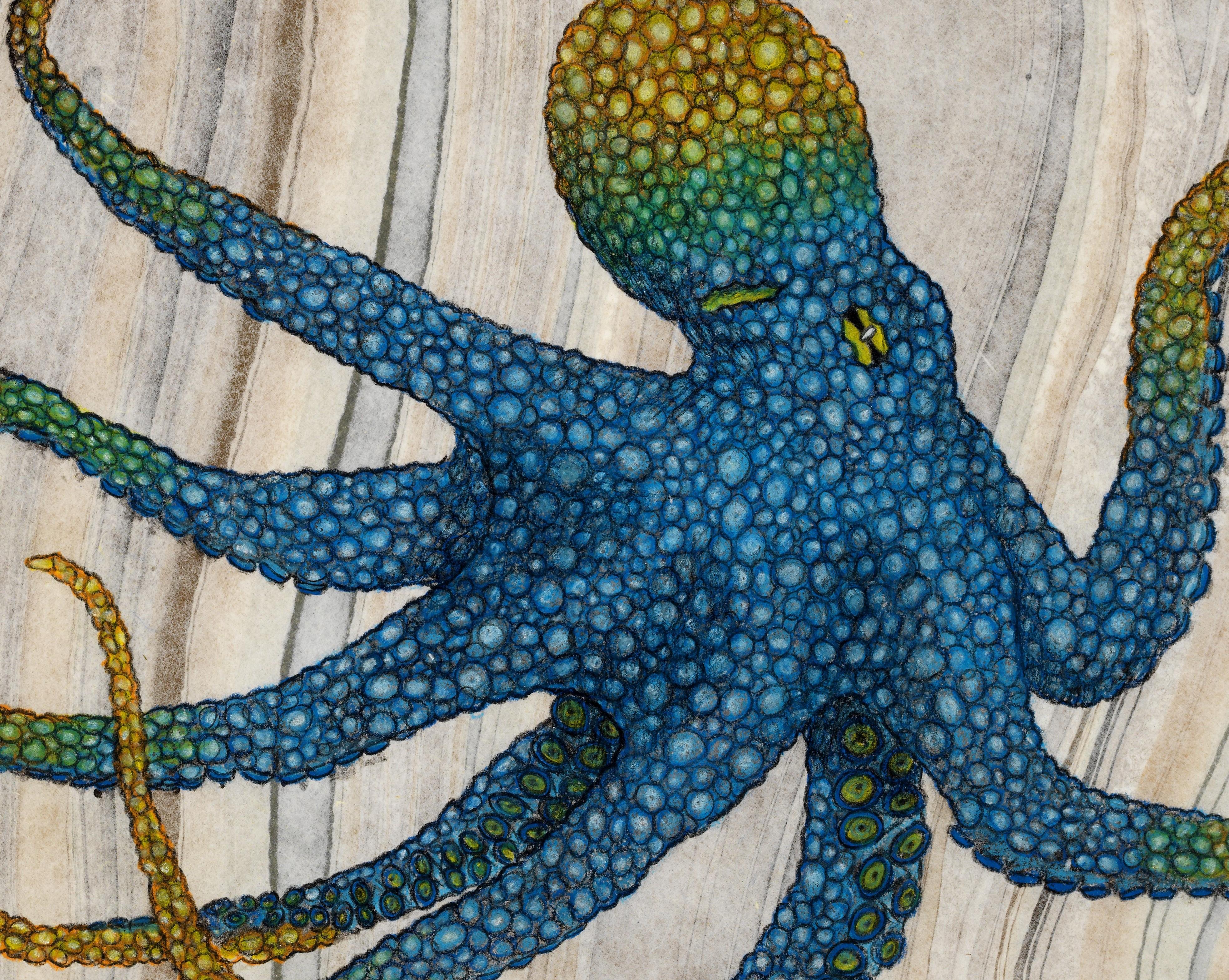 Kobaltkanarisches Sumi-Tintegemälde im Gyotaku-Stil, mehrfarbiger Octopus, gerahmt (Zeitgenössisch), Art, von Jeff Conroy