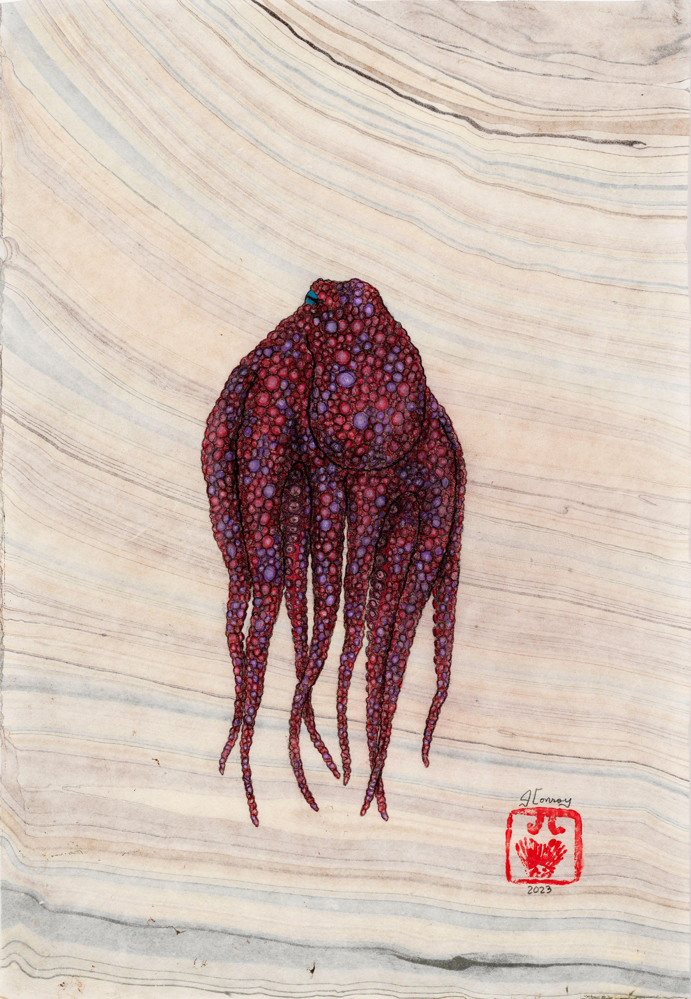 Red Rum - Gyotaku Style Sumi Ink Painting of an Octopus 