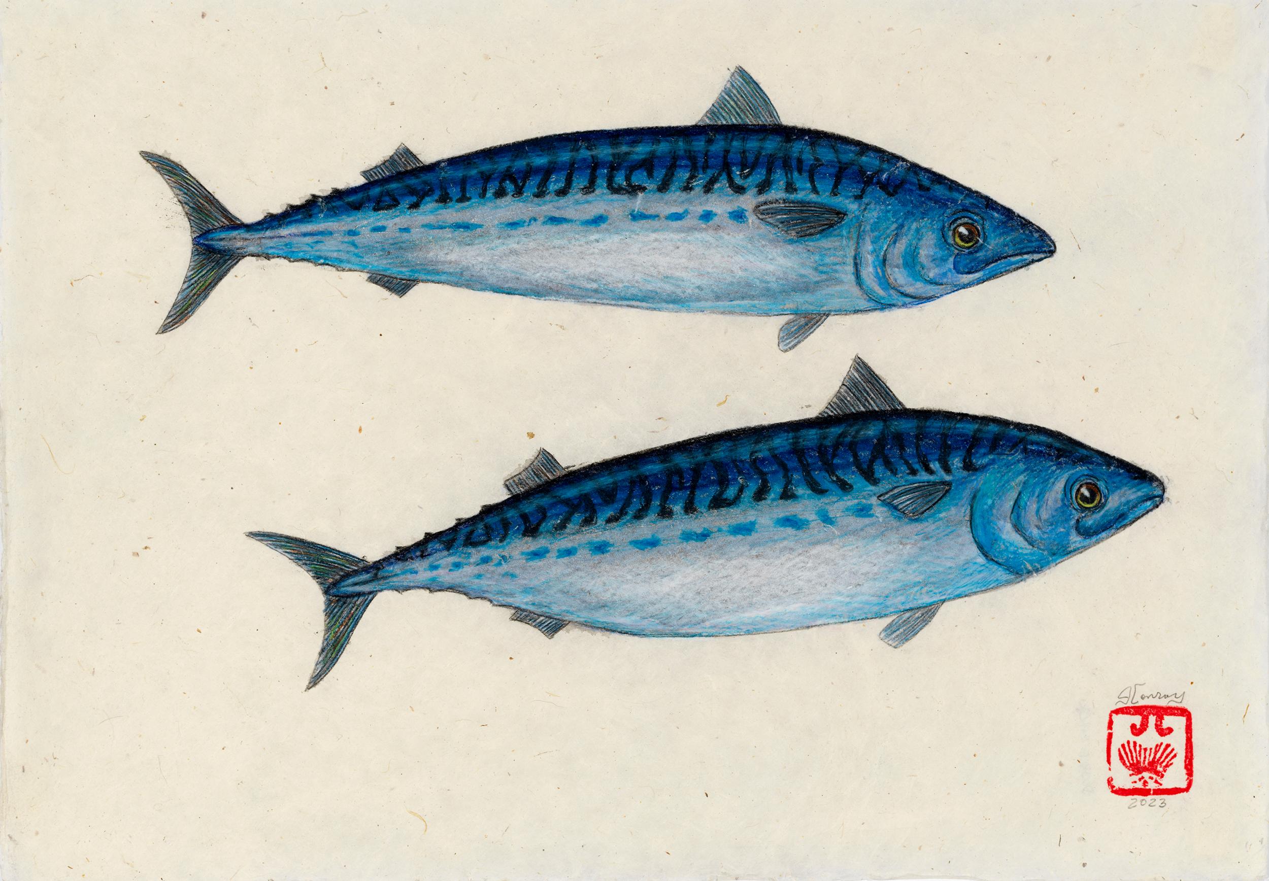 Jeff Conroy Animal Painting - Two Macks - Gyotaku Style Sumi Ink Painting of Two Mackerel on Paper