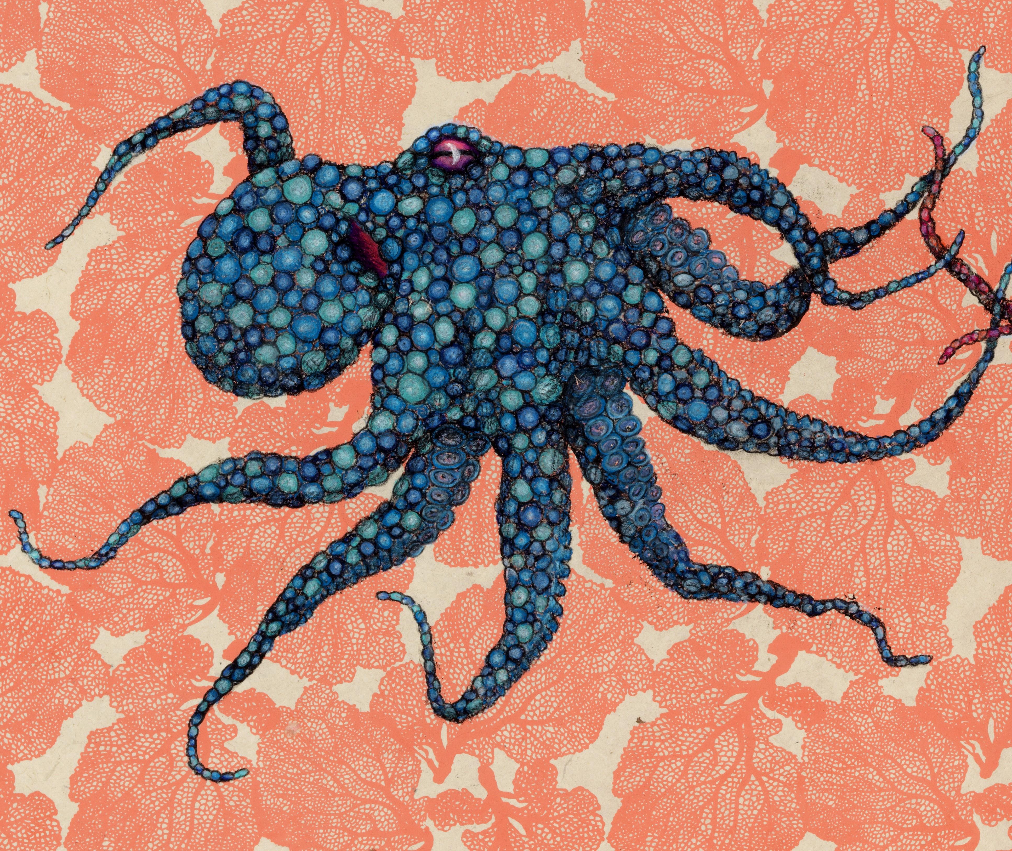 Éventail de mer - Bleu rencontre le rouge - Peinture à l'encre Sumi de style Gyotaku représentant un octope  - Contemporain Art par Jeff Conroy