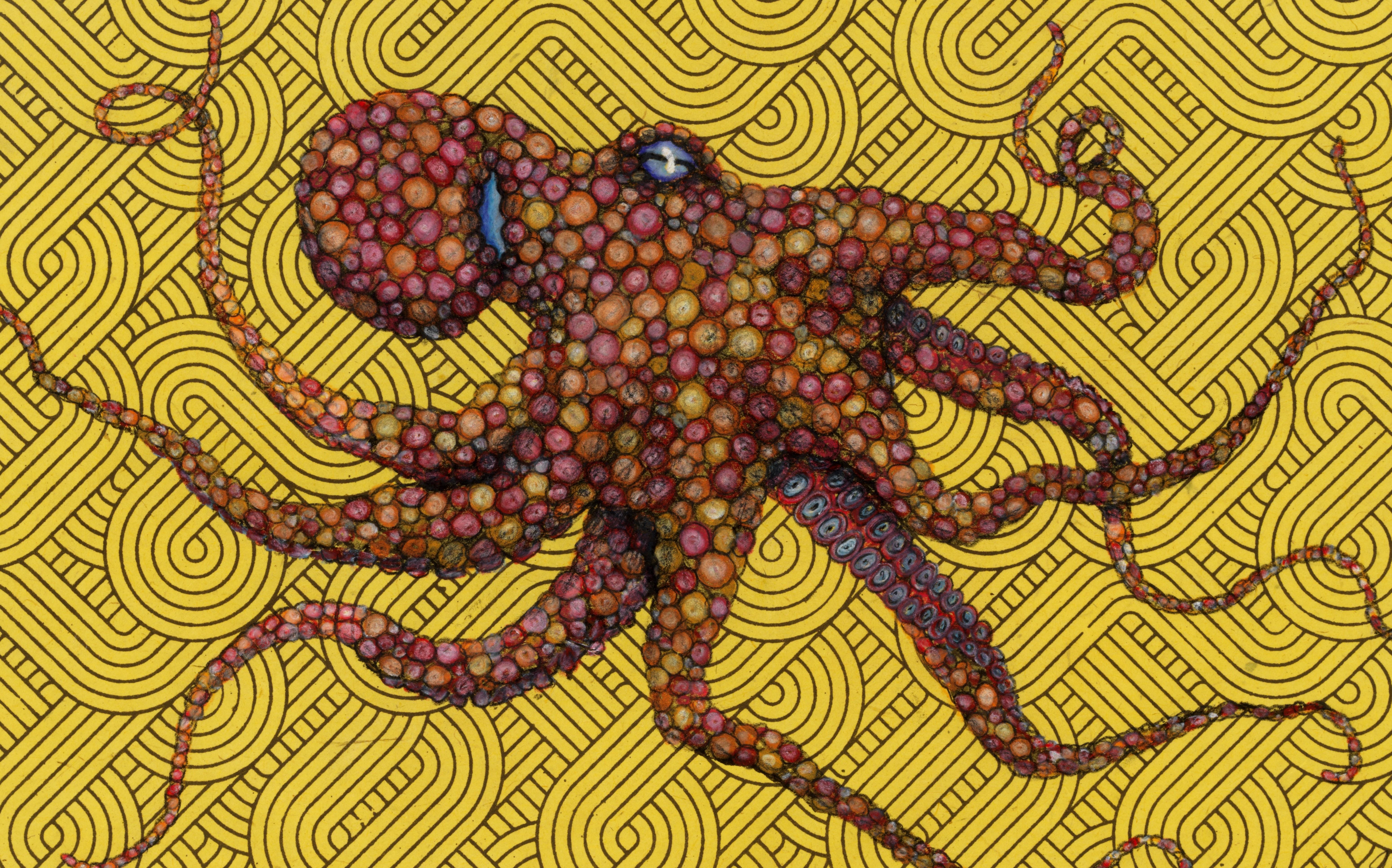 Goldilocks - Flaming Hot - Gyotaku Style Sumi Ink Painting of an Octopus - Art by Jeff Conroy