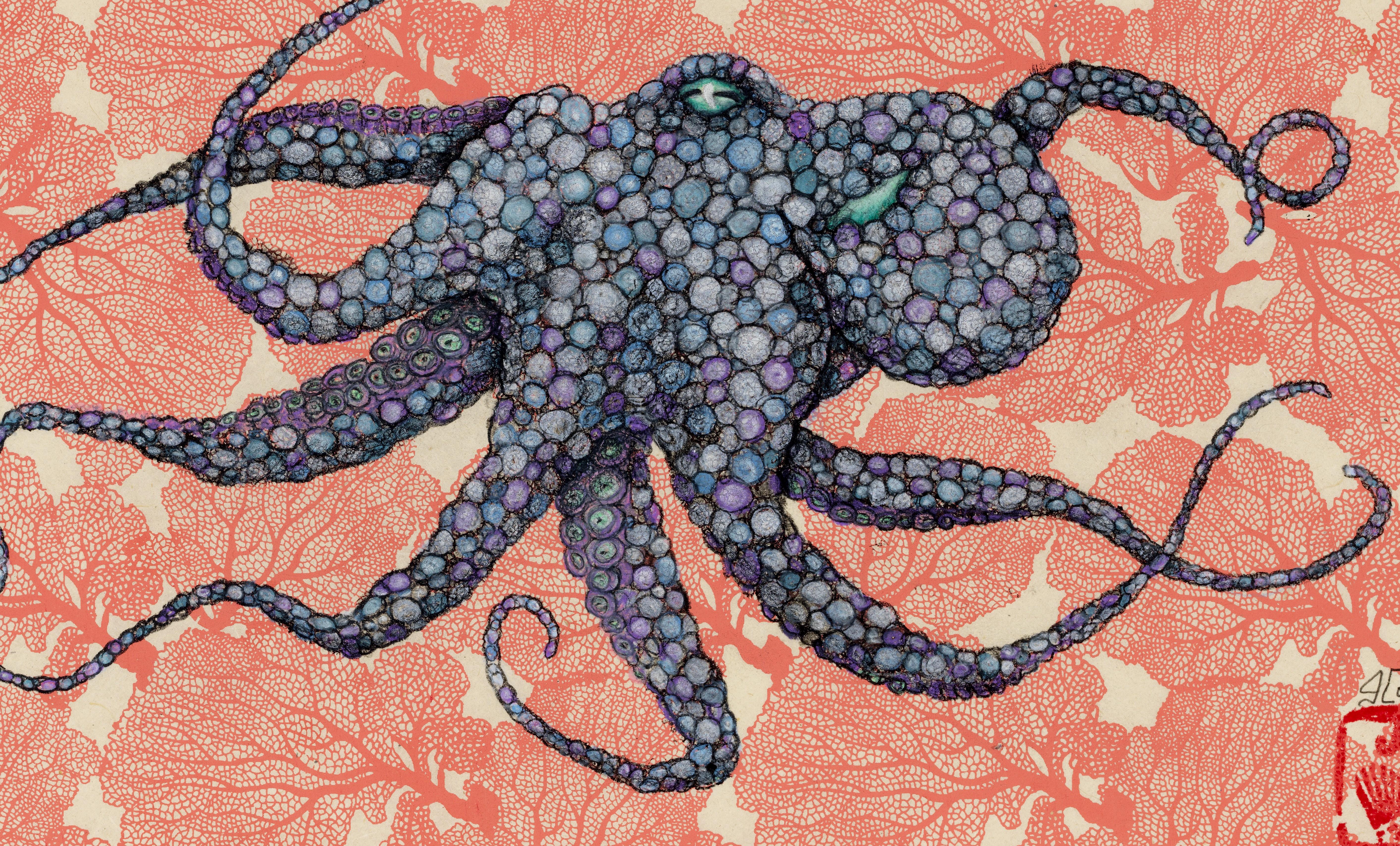 Éventail de mer - baies poussières - peinture à l'encre Sumi de style Gyotaku représentant un octope - Painting de Jeff Conroy