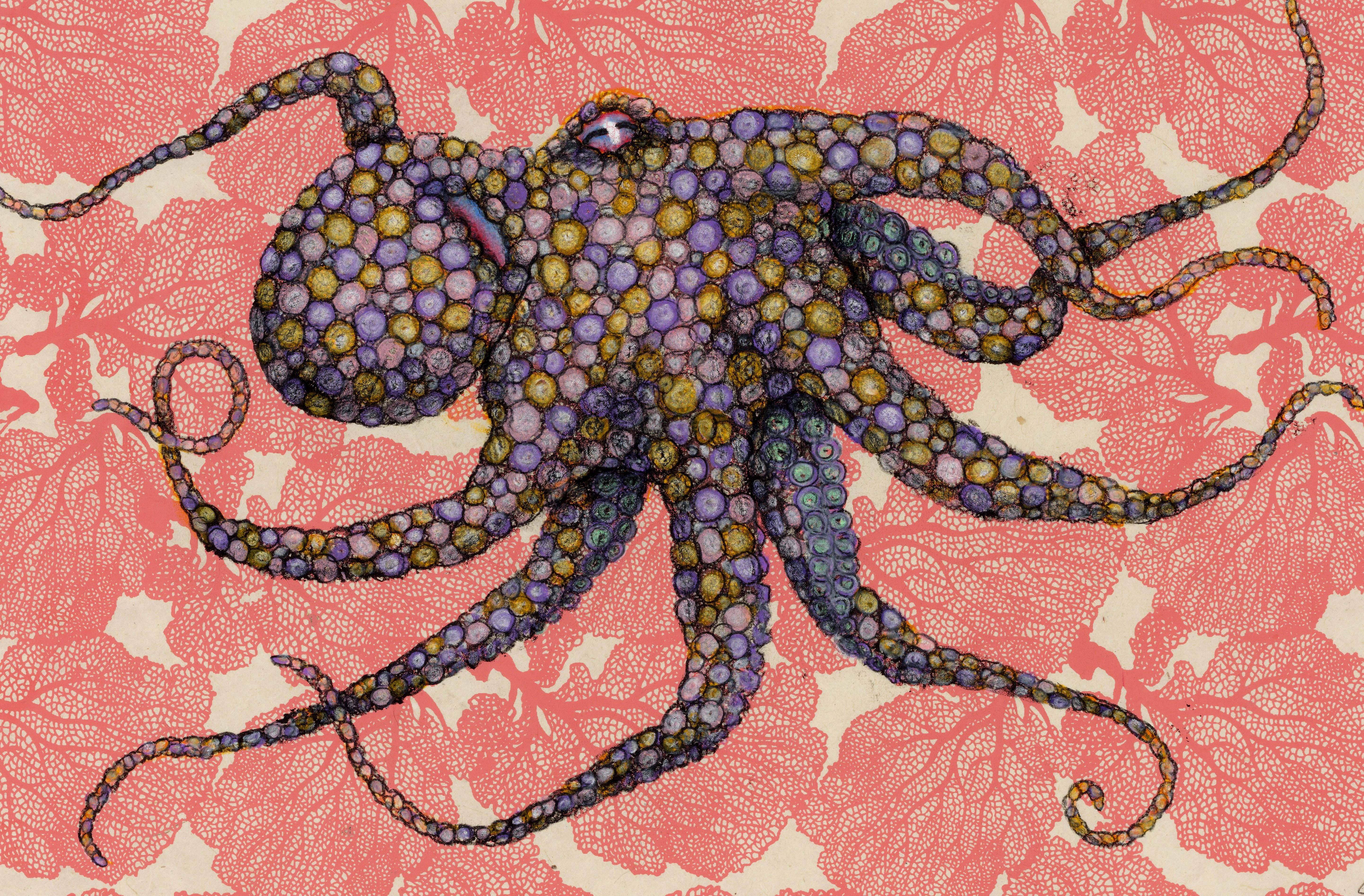 Meeresfächer – Gumball – Sumi-Tintegemälde im Gyotaku-Stil eines Octopus – Art von Jeff Conroy