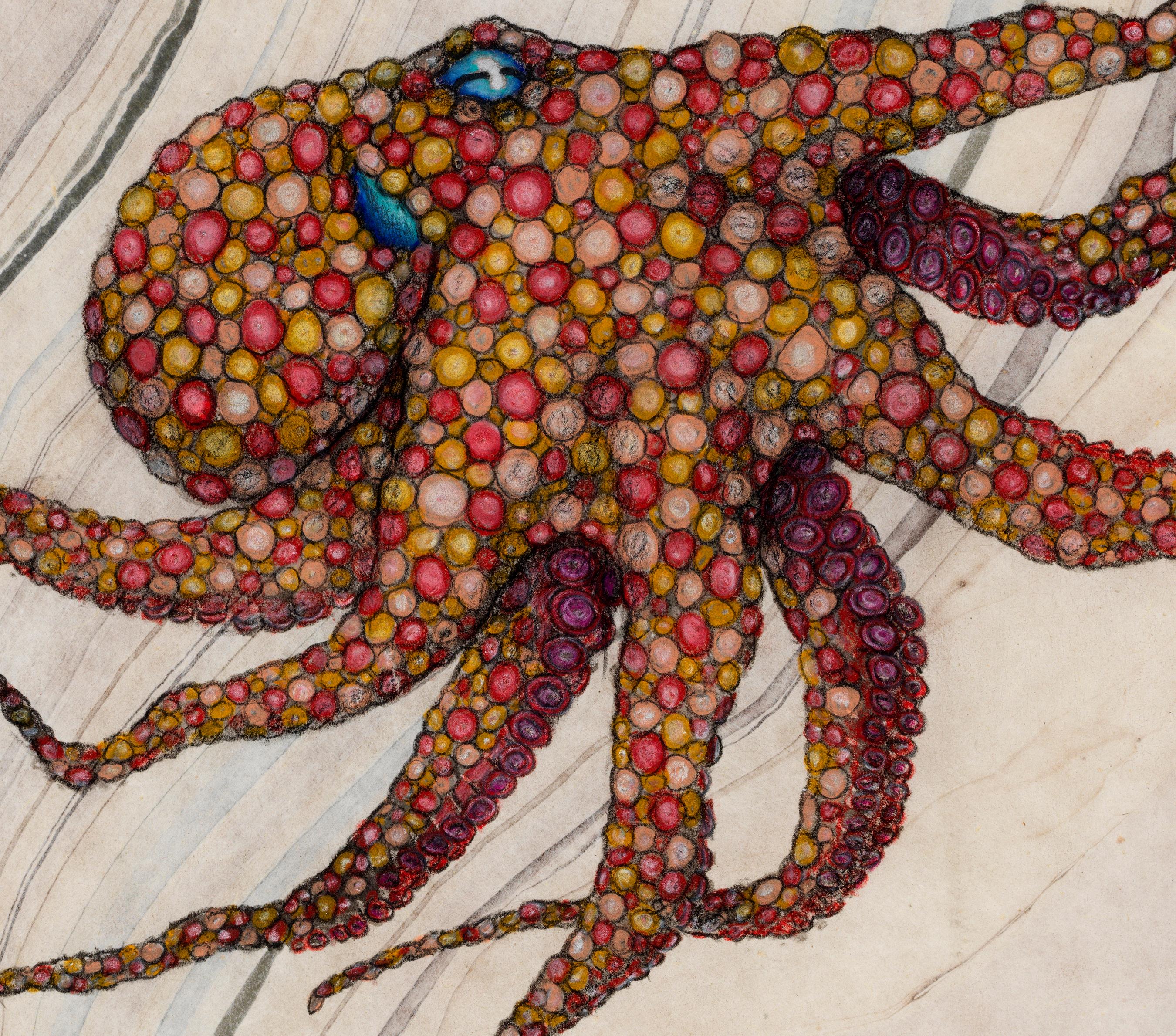 Malaga-Sonnenuntergang – Sumi-Tintegemälde eines Octopus im Gyotaku-Stil  – Art von Jeff Conroy