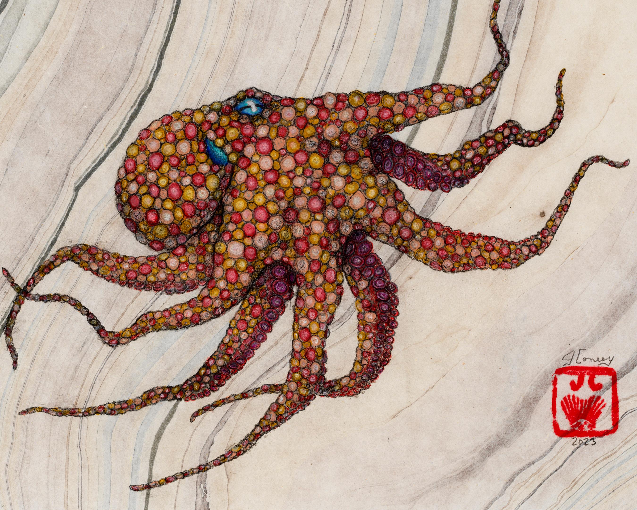 Malaga-Sonnenuntergang – Sumi-Tintegemälde eines Octopus im Gyotaku-Stil  im Angebot 1