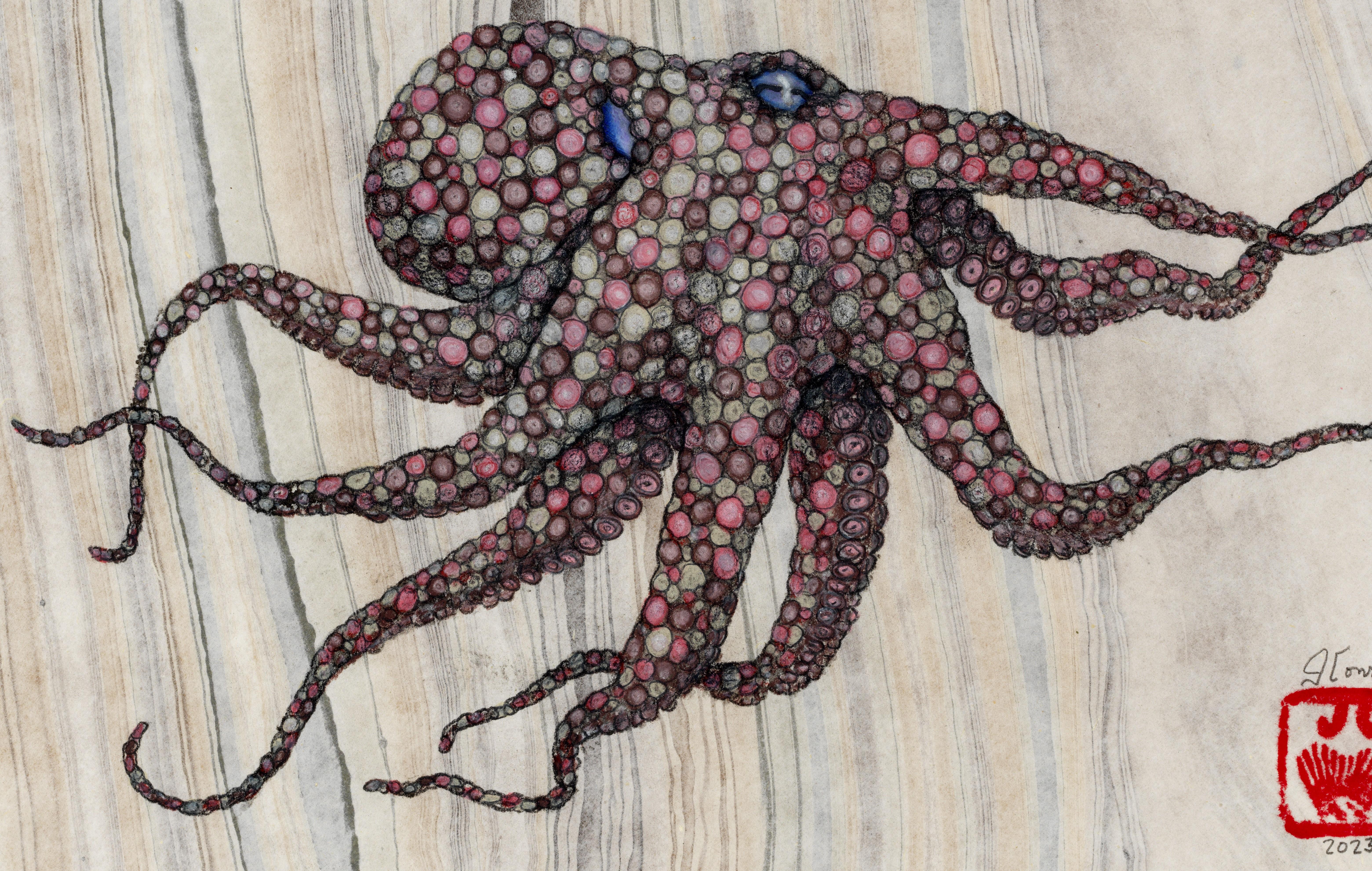 A small octopus is inked in the Japanese style of Gyo-Taku print making.  Using sumi ink to 