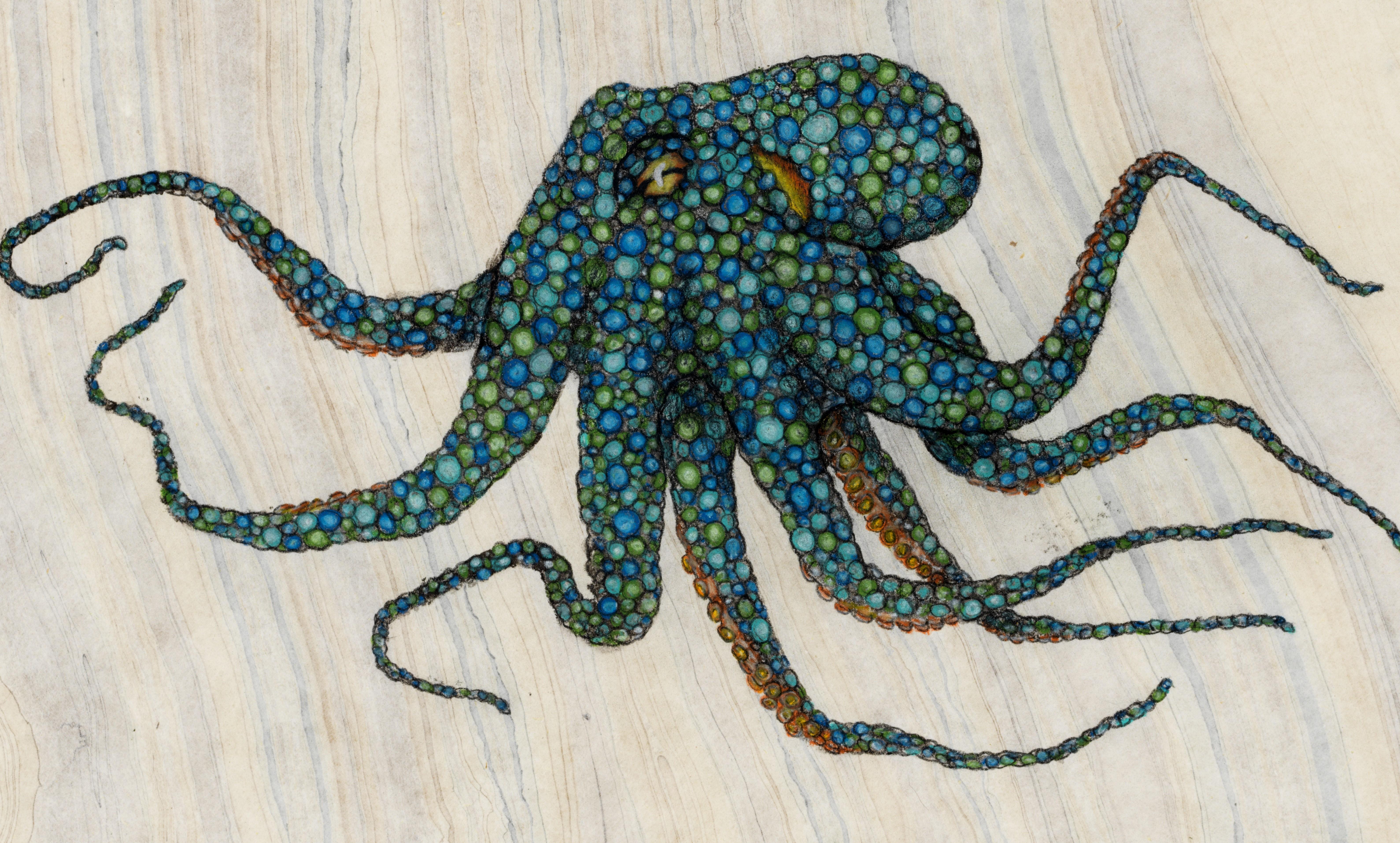 Juniper - Gyotaku-Stil Sumi-Tinte Malerei eines Oktopus auf Mulberry Papier – Art von Jeff Conroy
