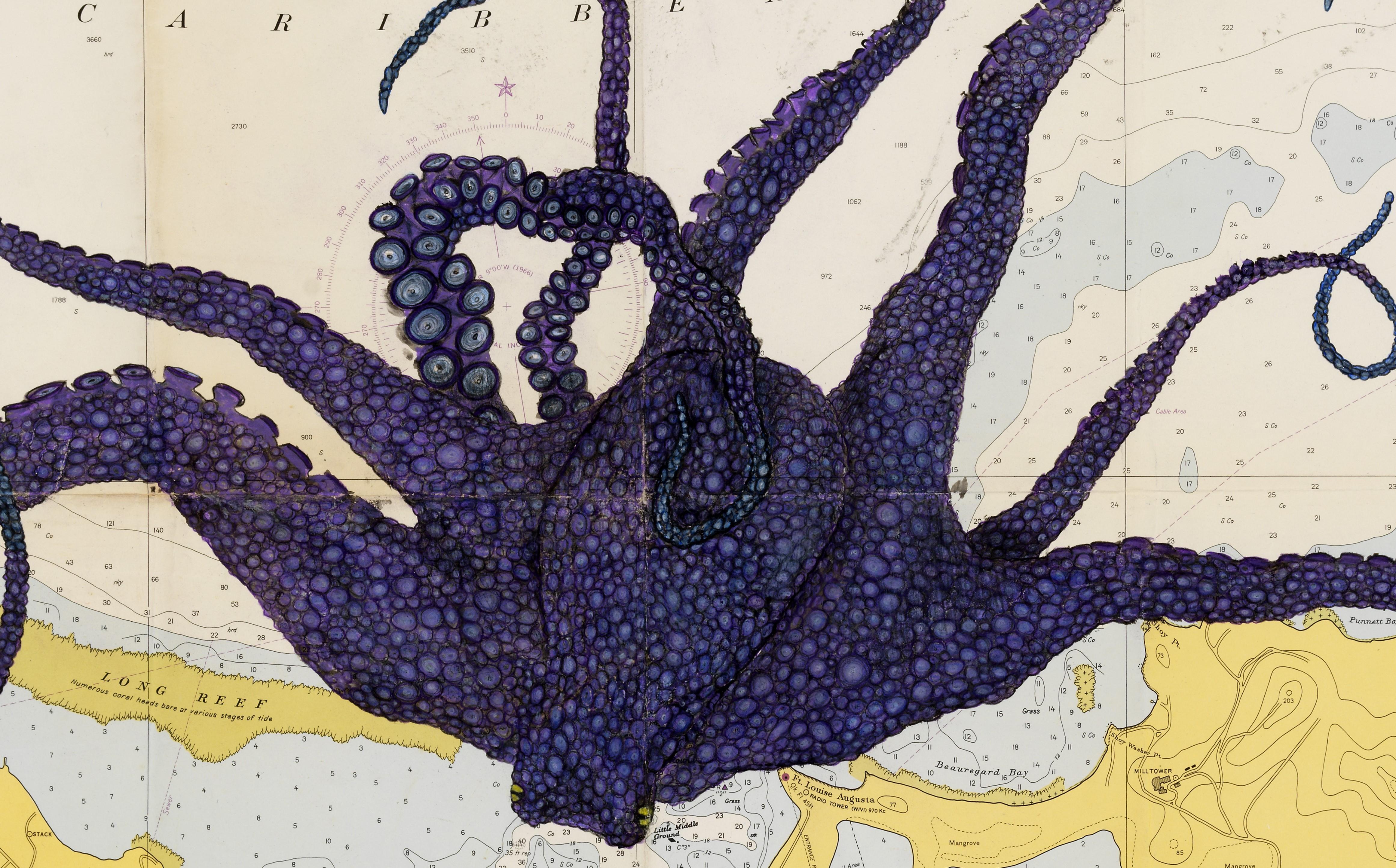 Lila Perkins Over St. Croix - Octopus auf nautischer Karte, Druck im Gyotaku-Stil (Zeitgenössisch), Painting, von Jeff Conroy