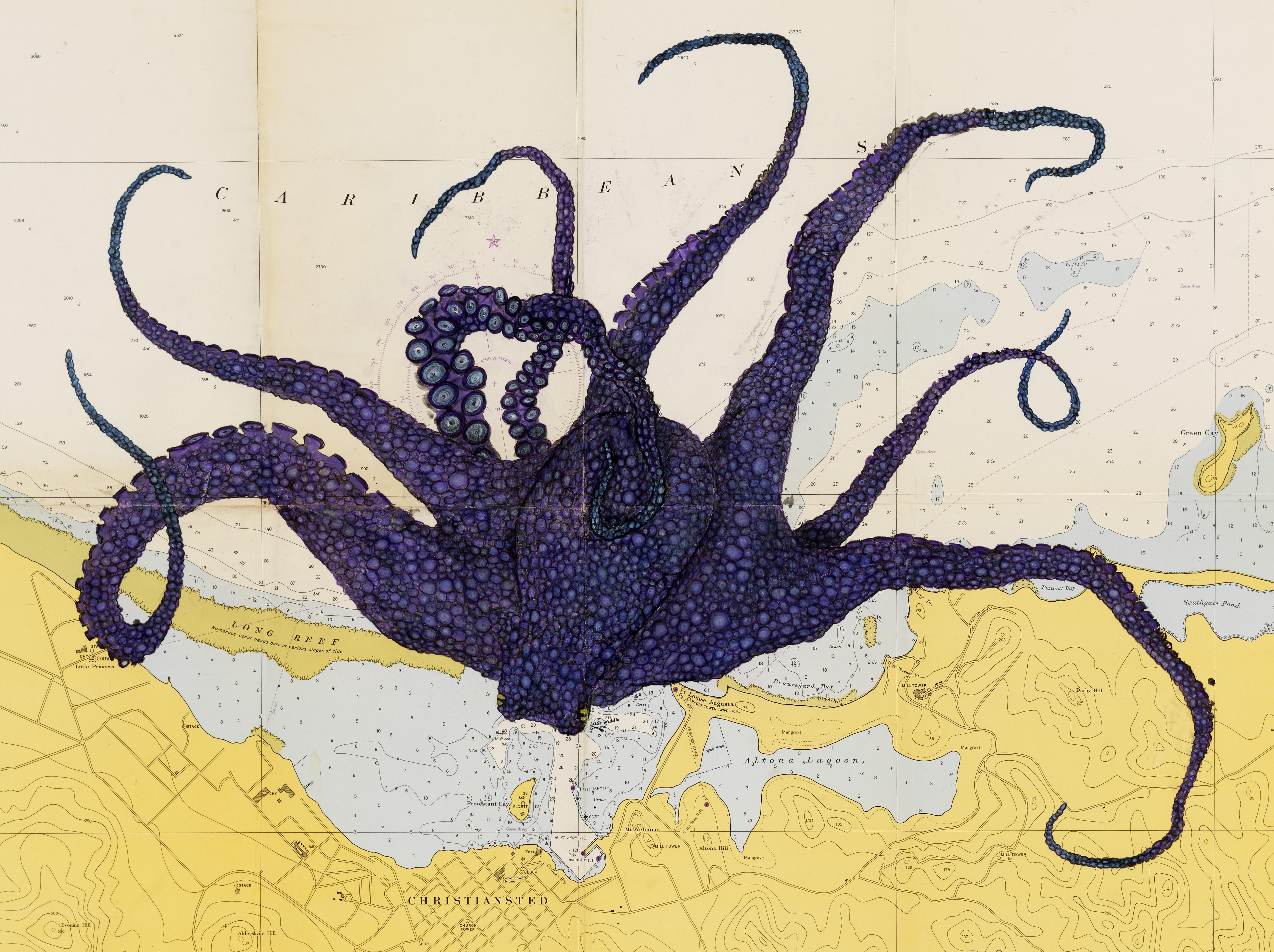Purple Perkins Over St. Croix - Octopus on Nautical Map, Gyotaku Style Print - Painting by Jeff Conroy