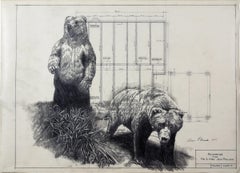 Dessin graphite sur dessins architecturaux anciens d'ours sur pieds solides