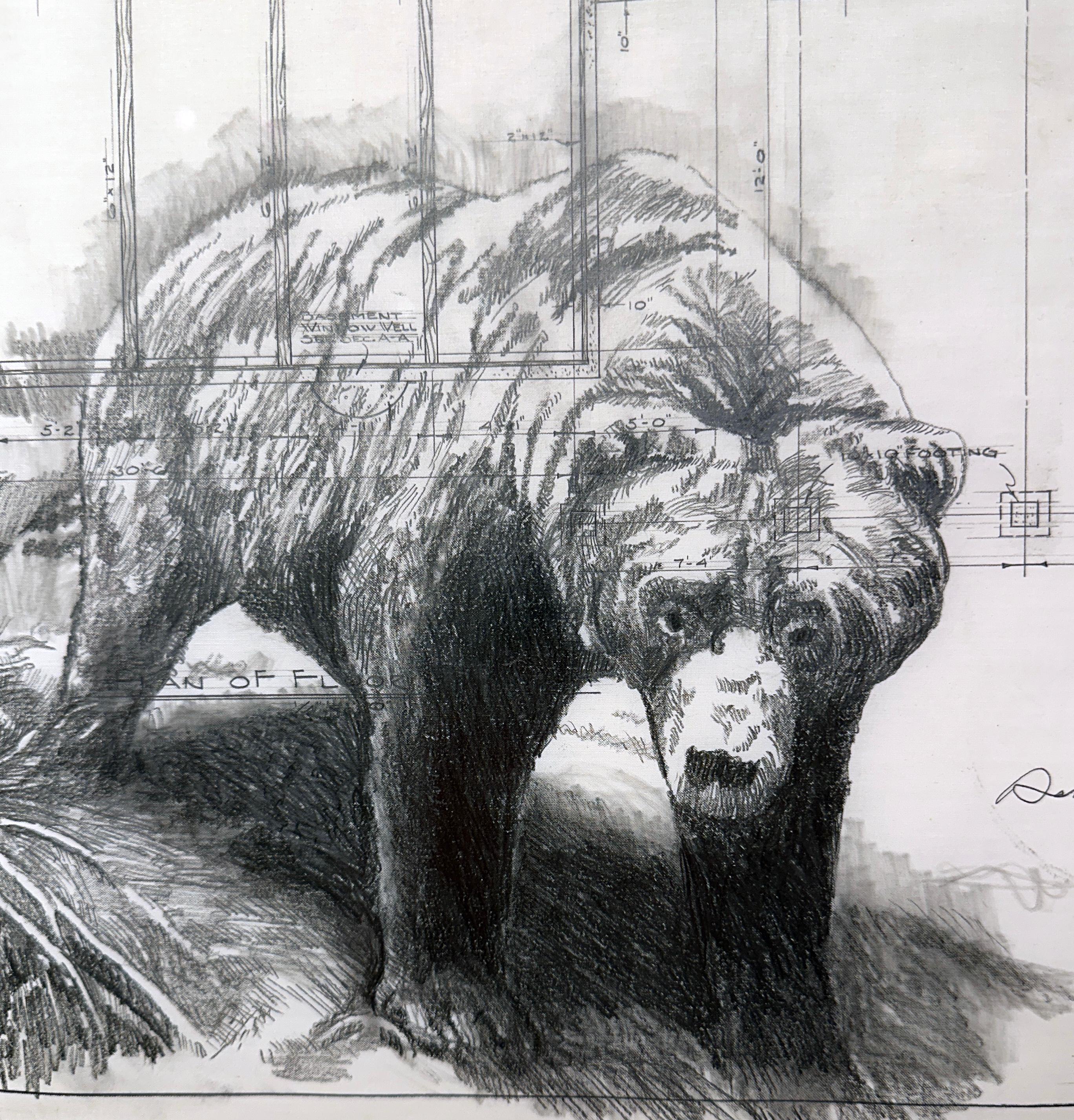 Solid Footings - Graphite Drawing on Antique Architectural Drawings of Bears - Contemporary Art by Don Pollack