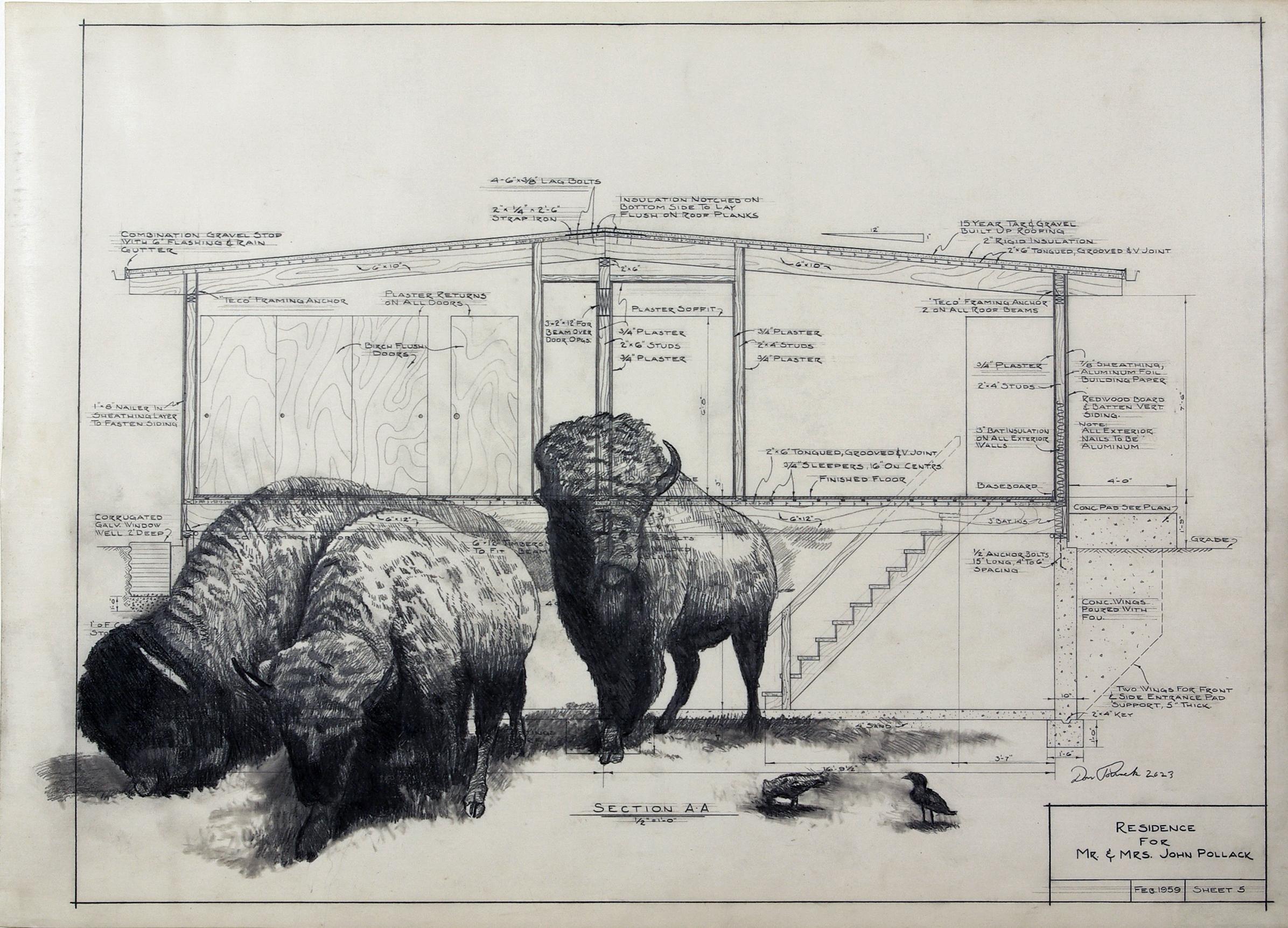 Base graduata e livellata - Buffalo in grafite su disegni architettonici antichi - Art di Don Pollack