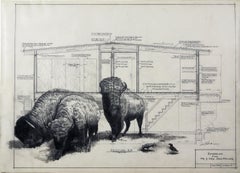 Base calibrée et nivelée - Buffalo en graphite sur des dessins d'architecture anciens 