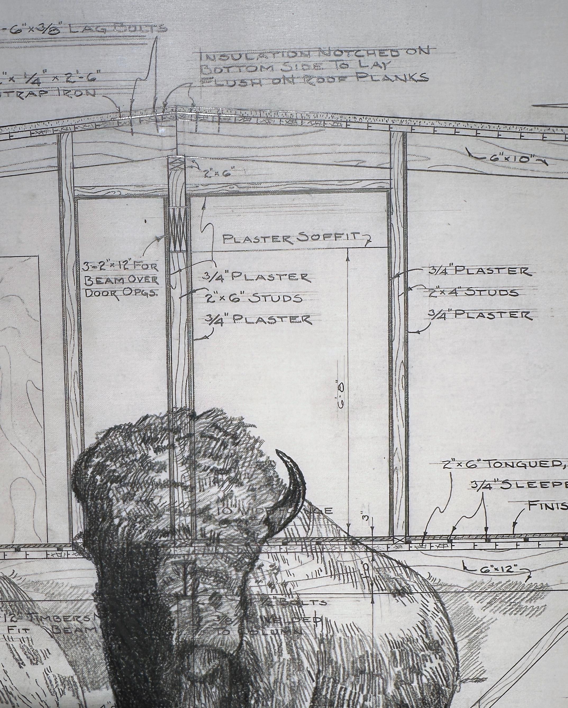 Base graduata e livellata - Buffalo in grafite su disegni architettonici antichi - Art Contemporaneo di Don Pollack