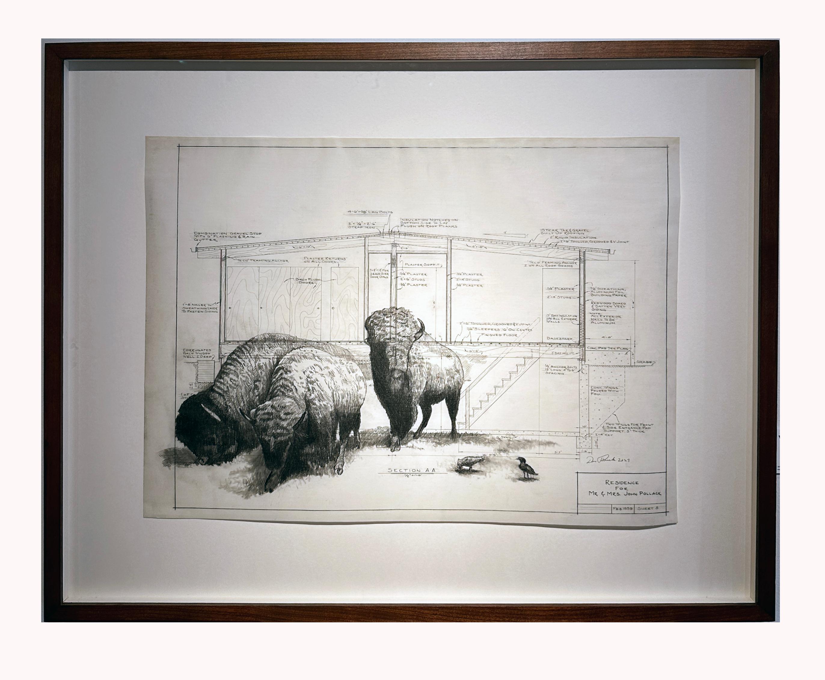 Base graduata e livellata - Buffalo in grafite su disegni architettonici antichi in vendita 4