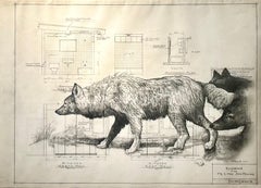 The Gathering - Wolves in Graphite on Antique Architectural Drawings 