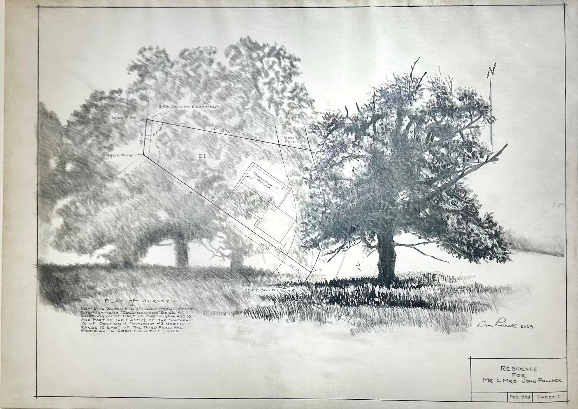 Platten survey – Bäume in Graphit auf antiken architektonischen Zeichnungen 