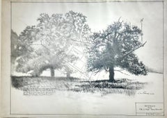 Plat Survey - Trees in Graphite on Antique Architectural Drawings 