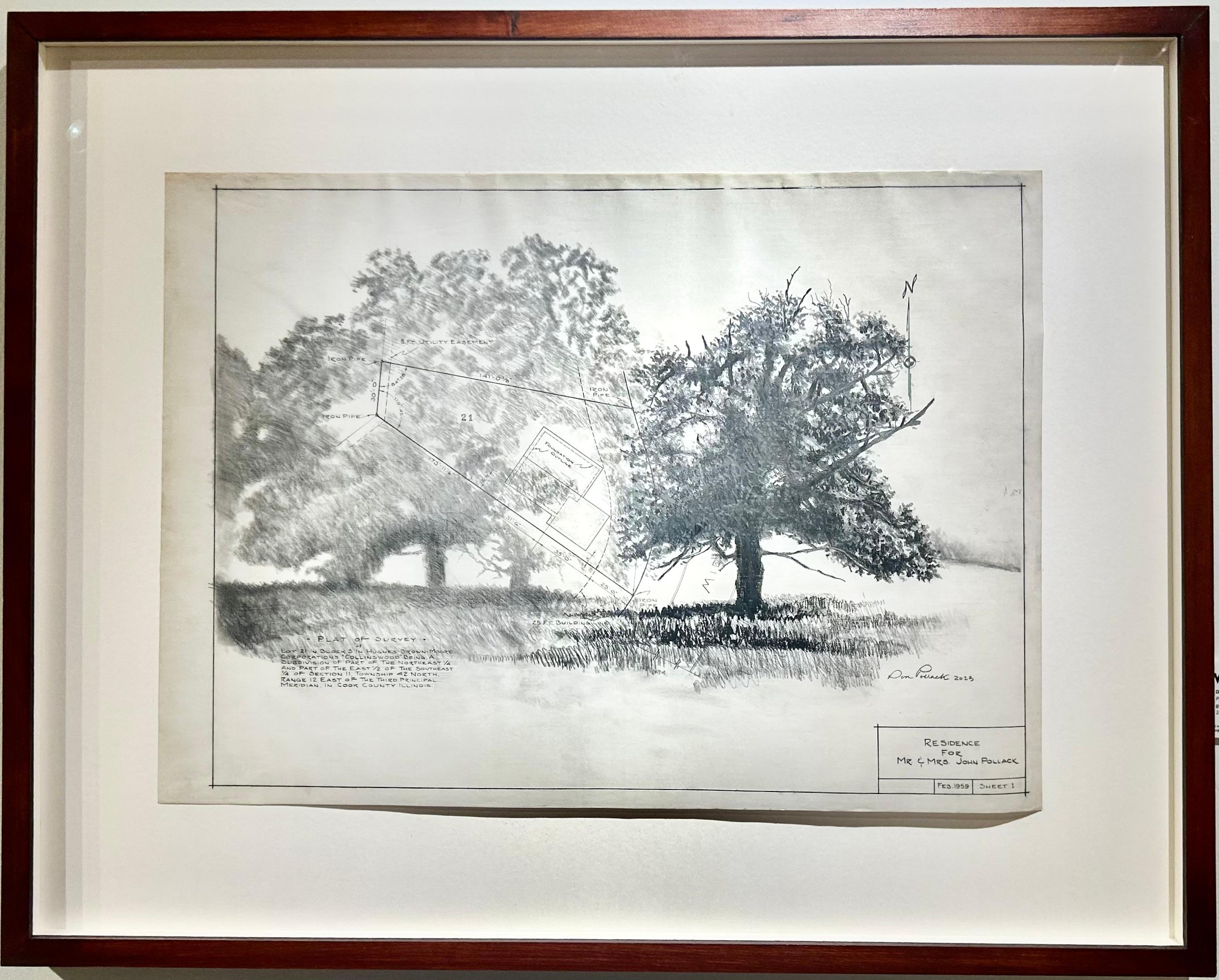 Plat Survey - Trees in Graphite on Antique Architectural Drawings  - Art by Don Pollack