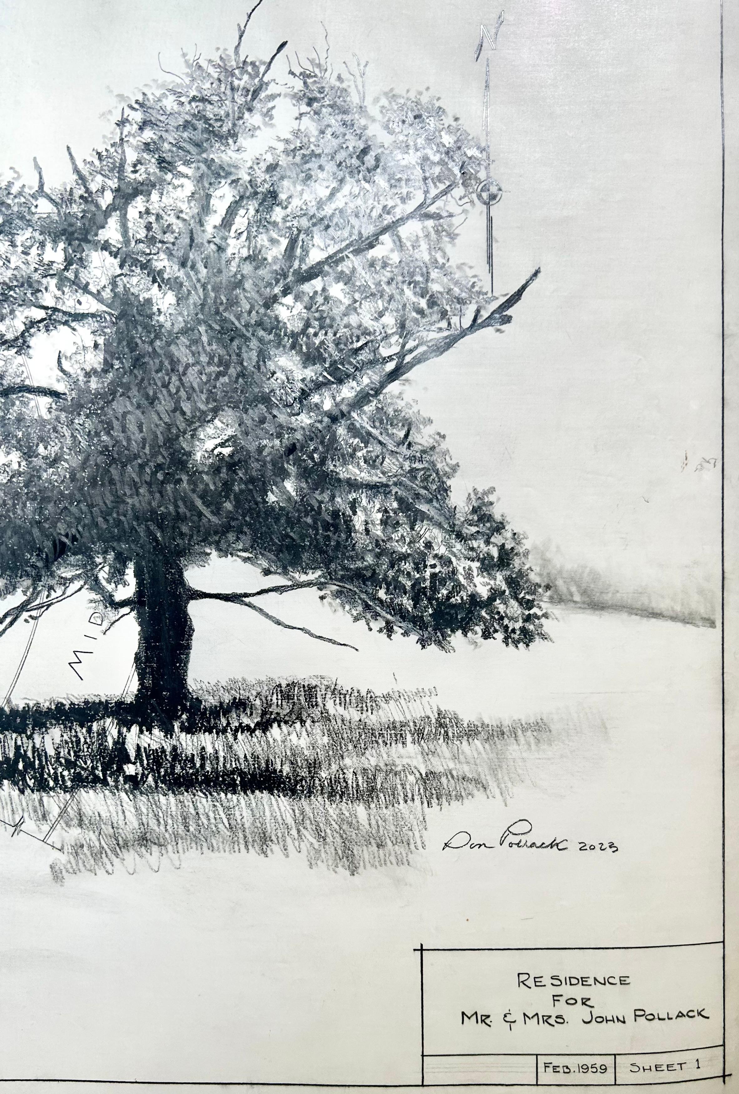 Plat Survey - Trees in Graphite on Antique Architectural Drawings  - Contemporary Art by Don Pollack