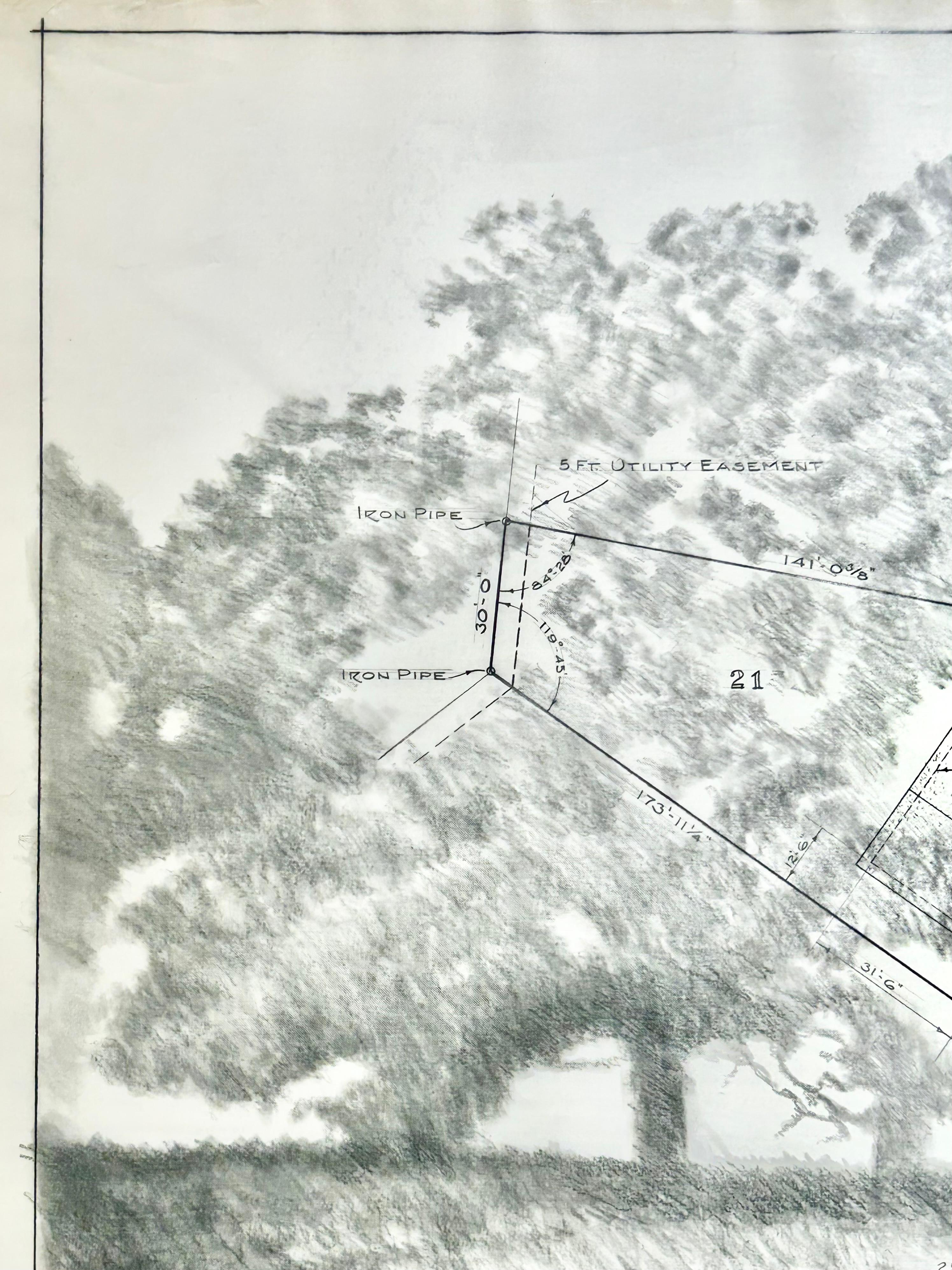Plan d'arpentage - Arbres en graphite sur vélin ancien Dessin d'architecture - Gris Landscape Painting par Don Pollack