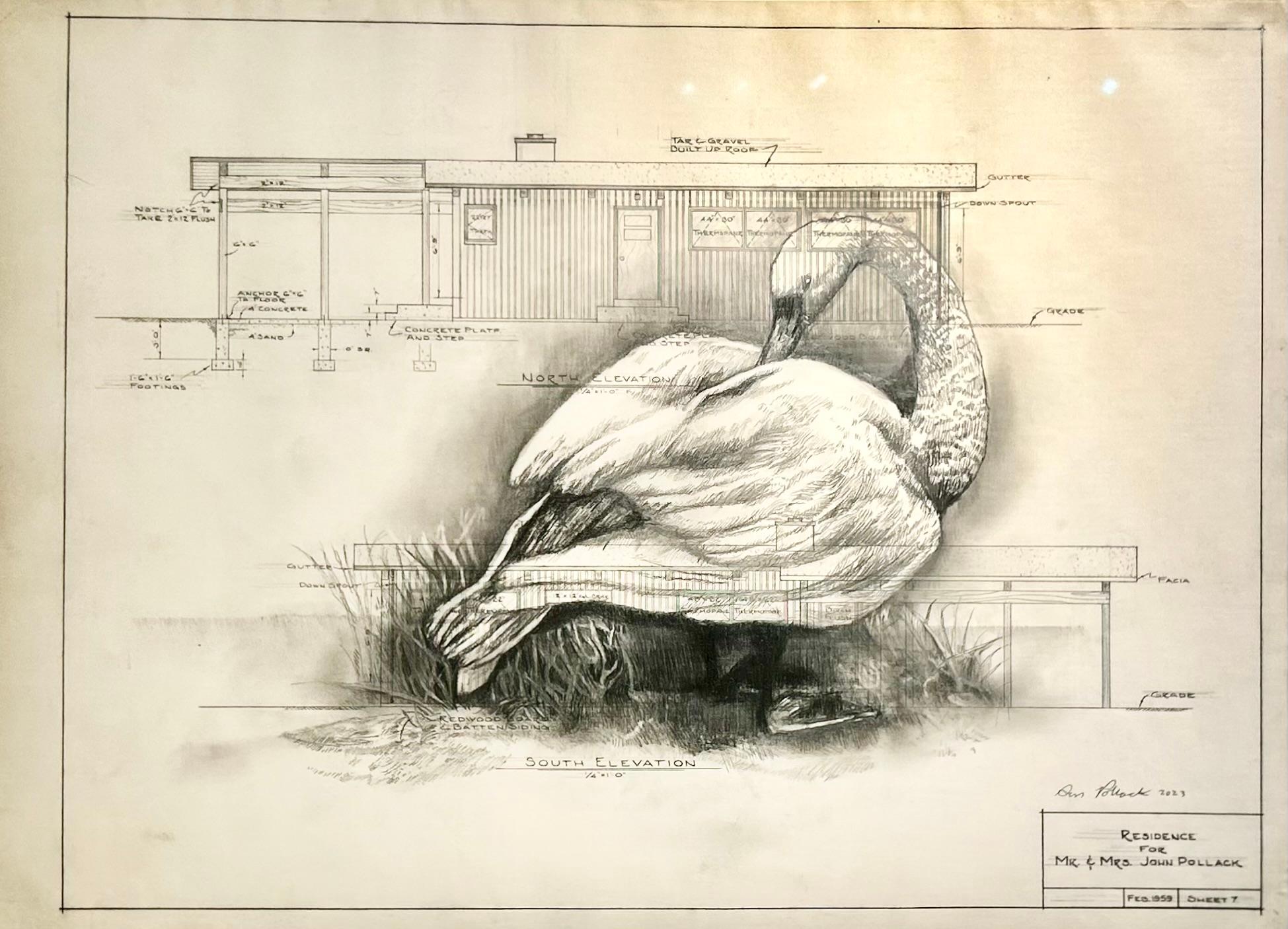 Don Pollack Animal Art - Transformed - Swan in Graphite on Antique Architectural Drawings 