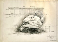 Transformed - Swan in Graphite on Antique Architectural Drawings 