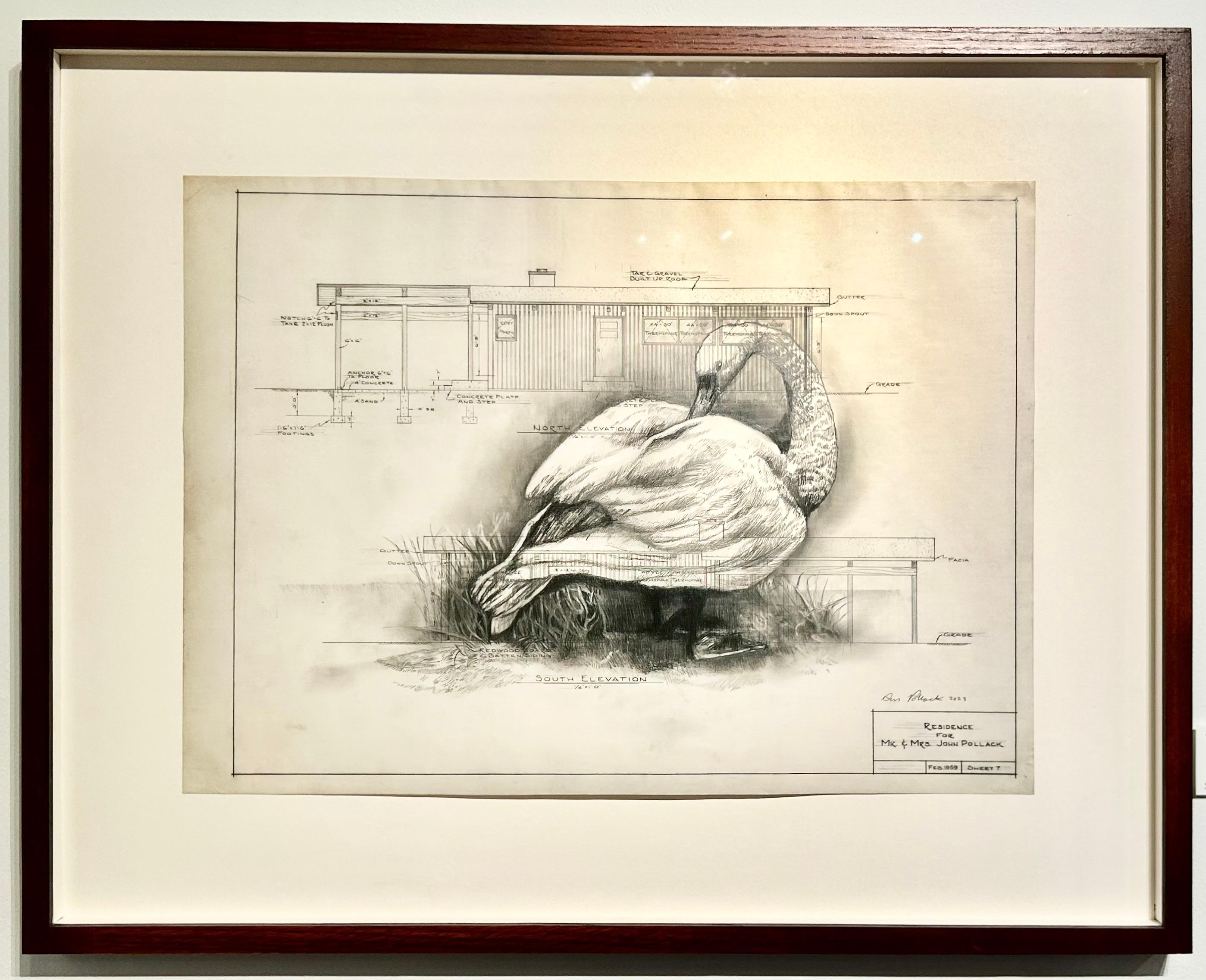 Trasformato - Cigno in grafite su disegno architettonico in Vellum antico - Painting di Don Pollack