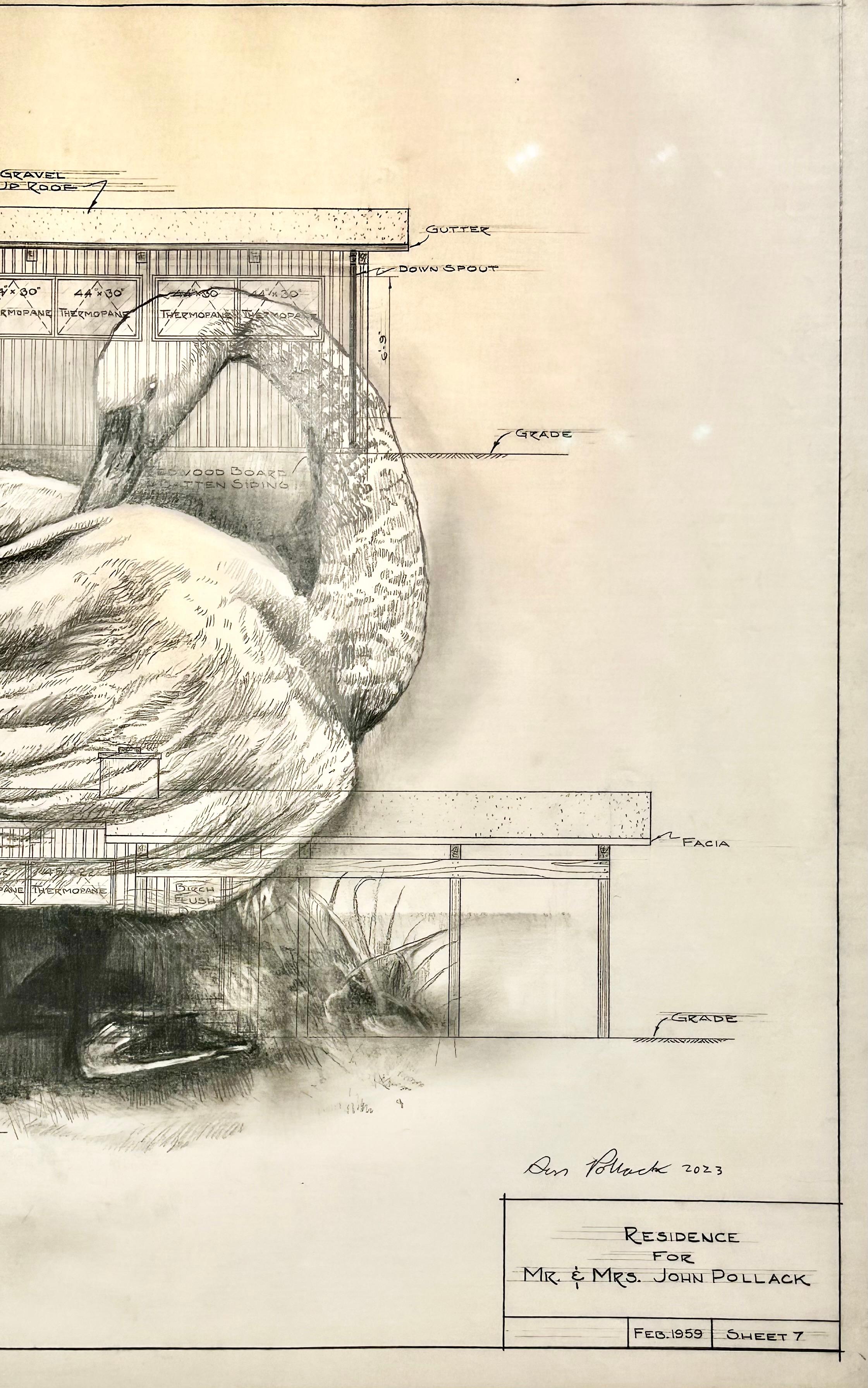Trasformato - Cigno in grafite su disegno architettonico in Vellum antico - Animal Painting Beige di Don Pollack