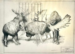 Jobsite - Moose in Graphite on Antique Architectural Drawings 