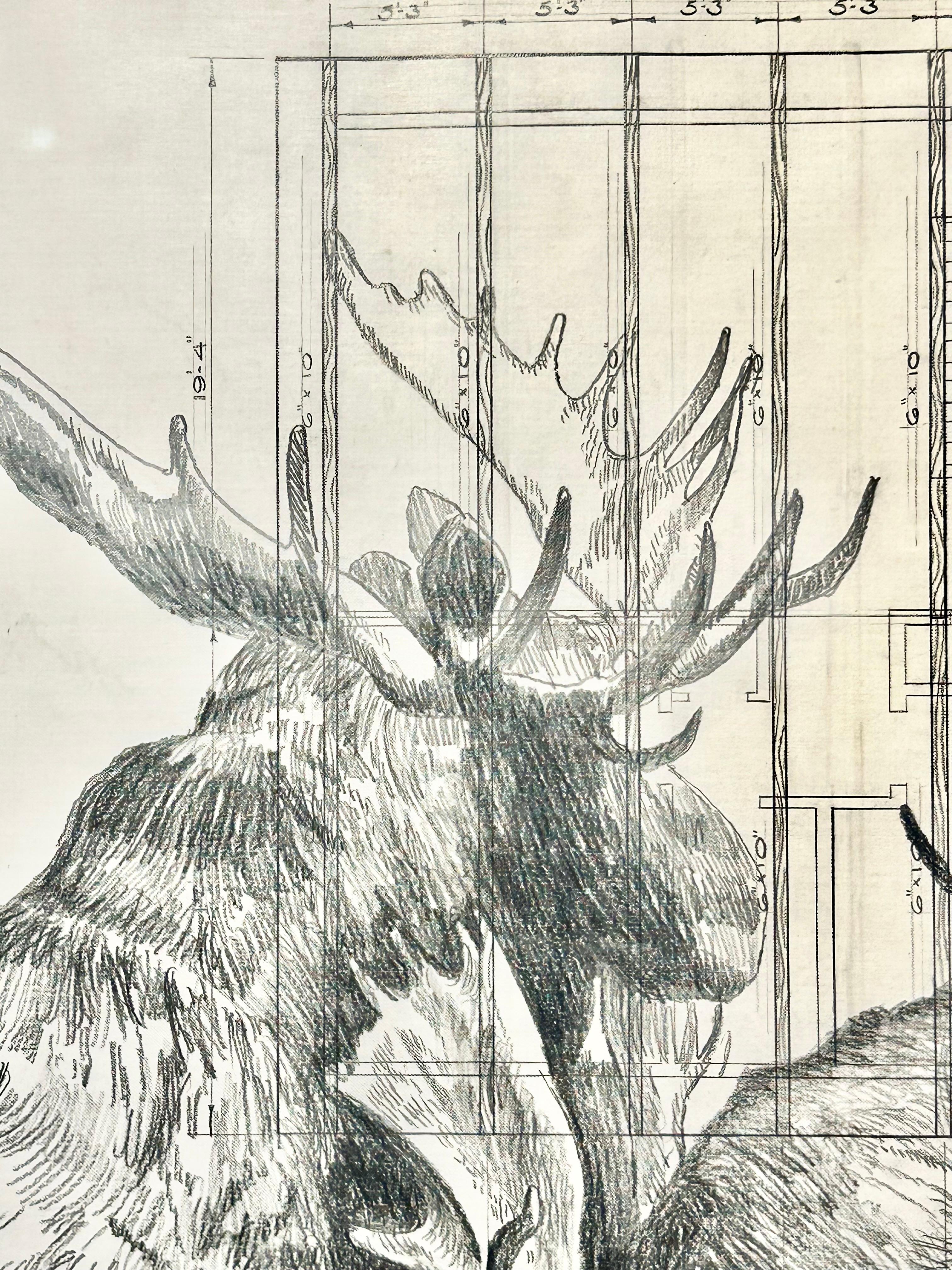 Jobsite - Moose in Graphite on Antique Architectural Drawings  For Sale 1