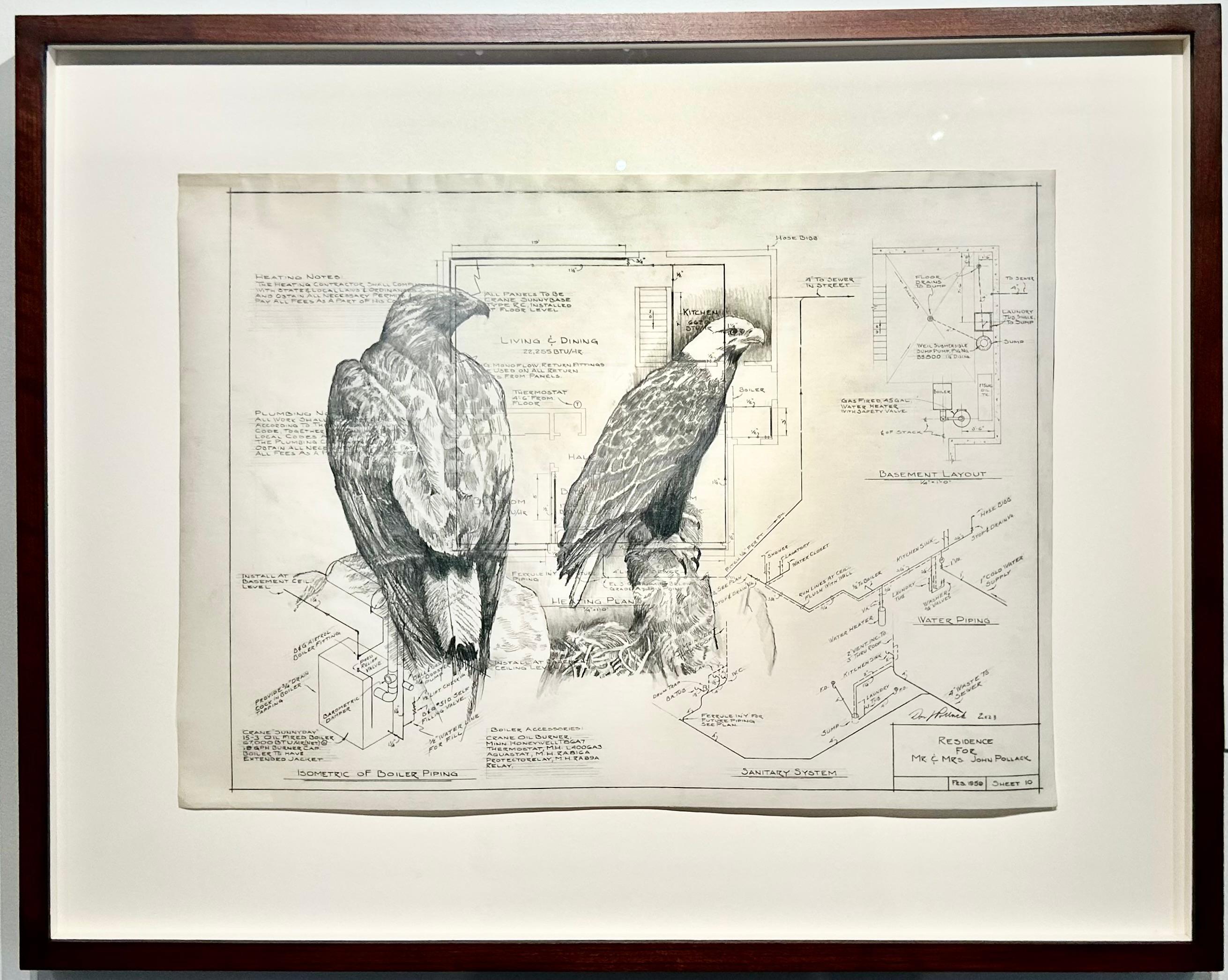 Un occhio per i dettagli - Aquile calve in grafite su antichi disegni architettonici - Art di Don Pollack