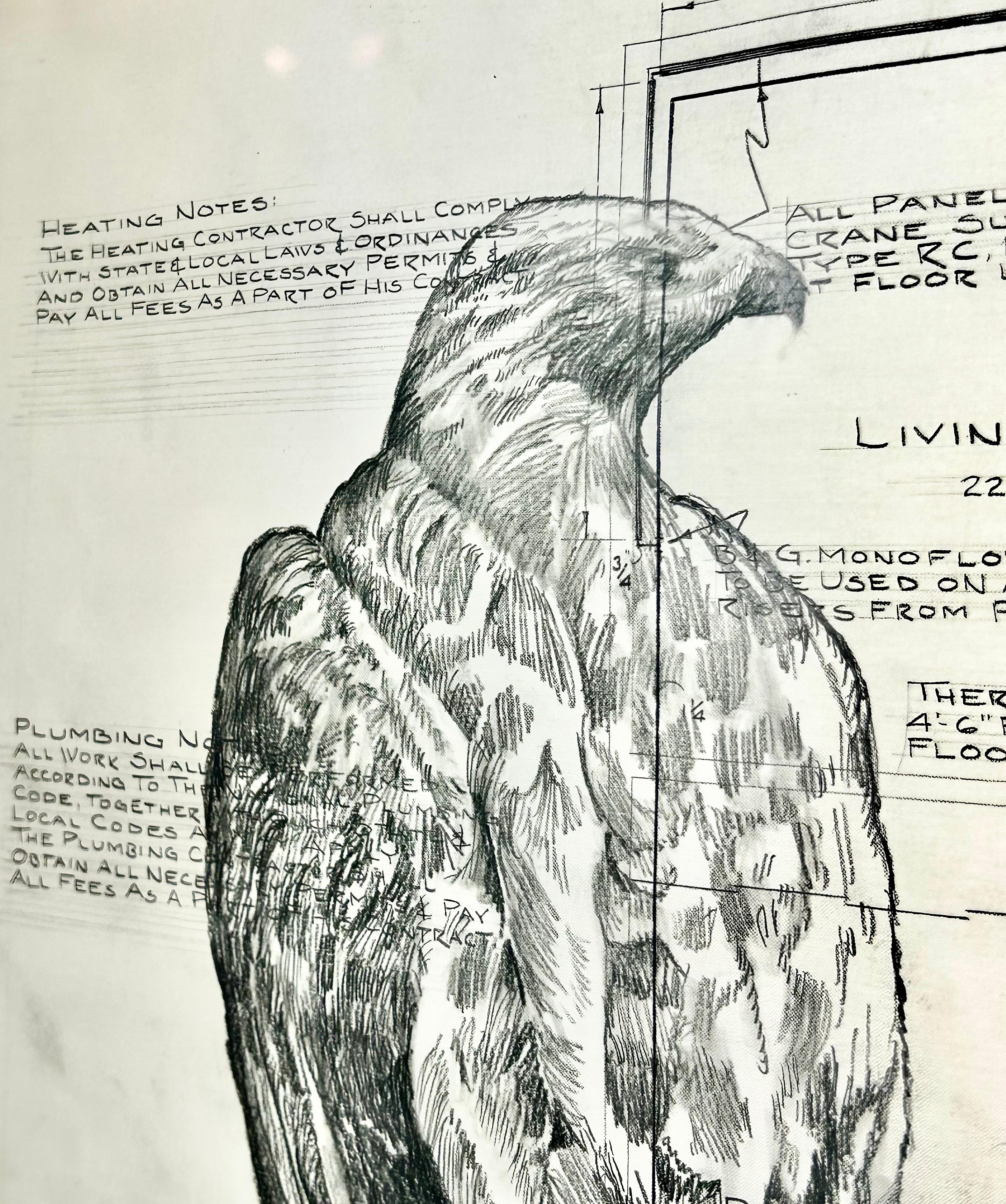 An Eye for Detail - Bald Eagles in Graphite on Antique Architectural Drawings  For Sale 1