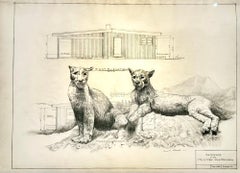 Sentinel - Lions de montagne en graphite sur dessins architecturaux anciens 