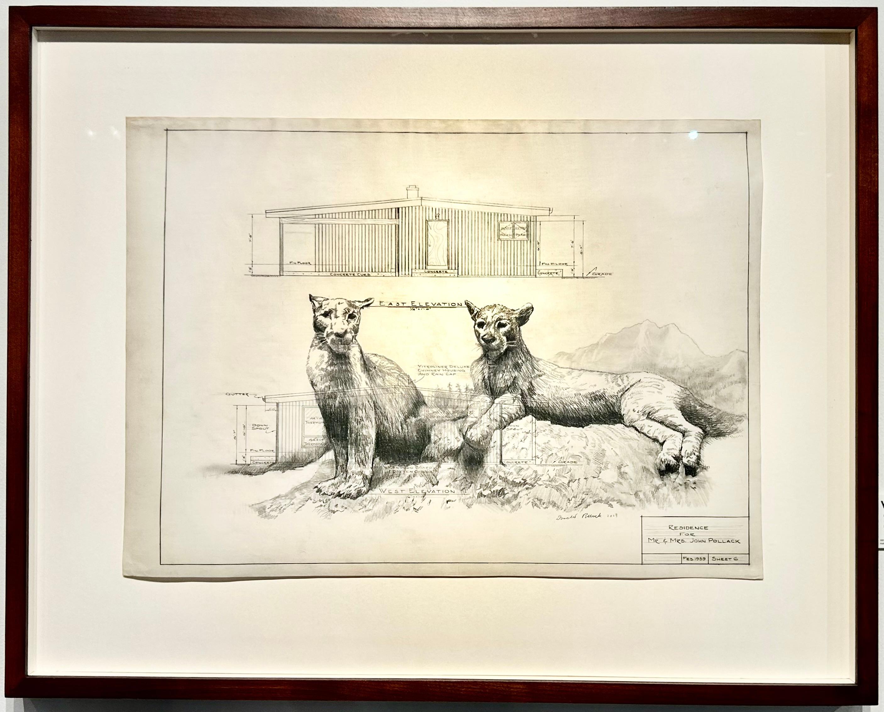 Sentinel - Mountain Lions in Graphite on Antique Architectural Drawings  - Art by Don Pollack