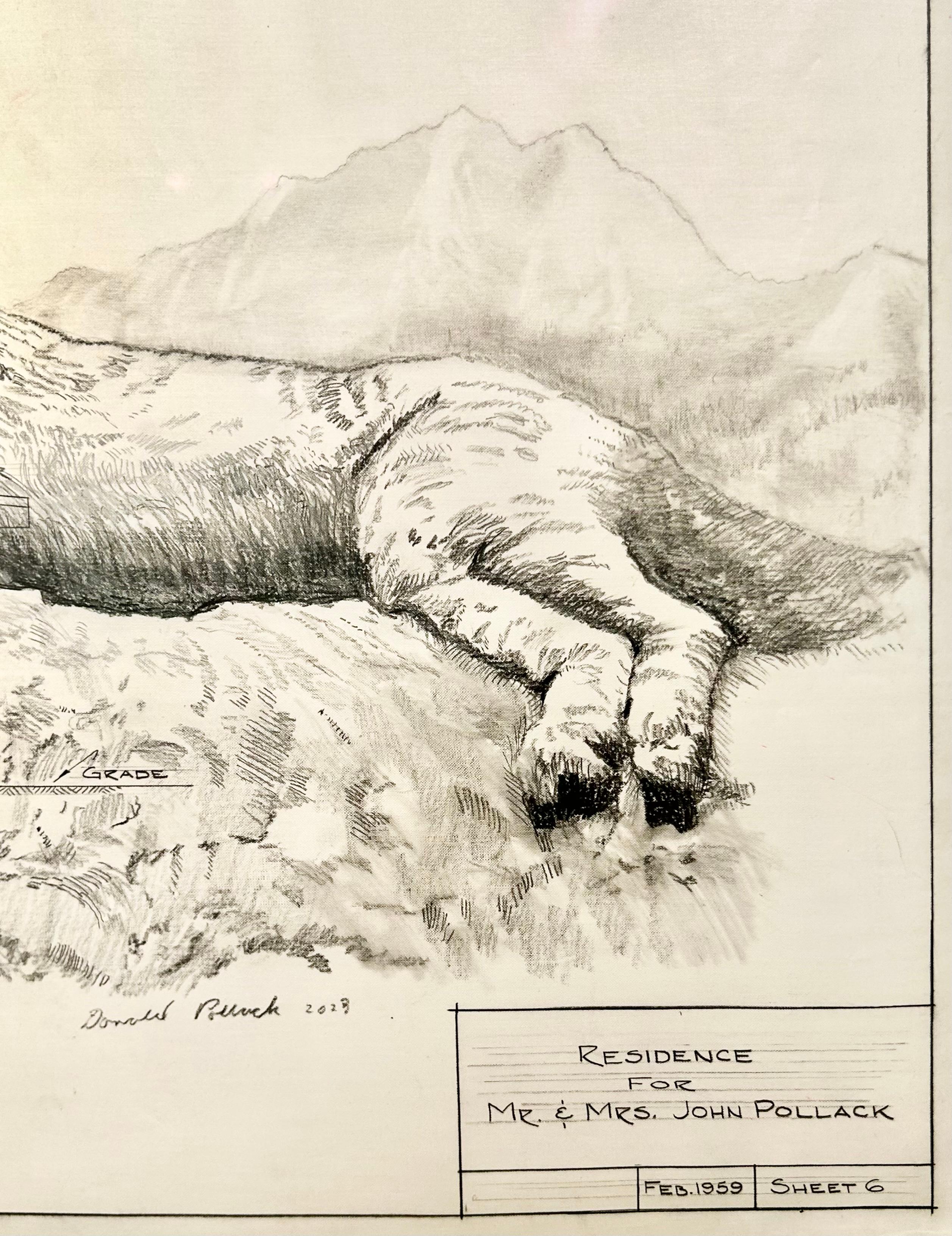 Sentinel - Mountain Lions in Graphite on Antique Architectural Drawings  - Contemporary Art by Don Pollack