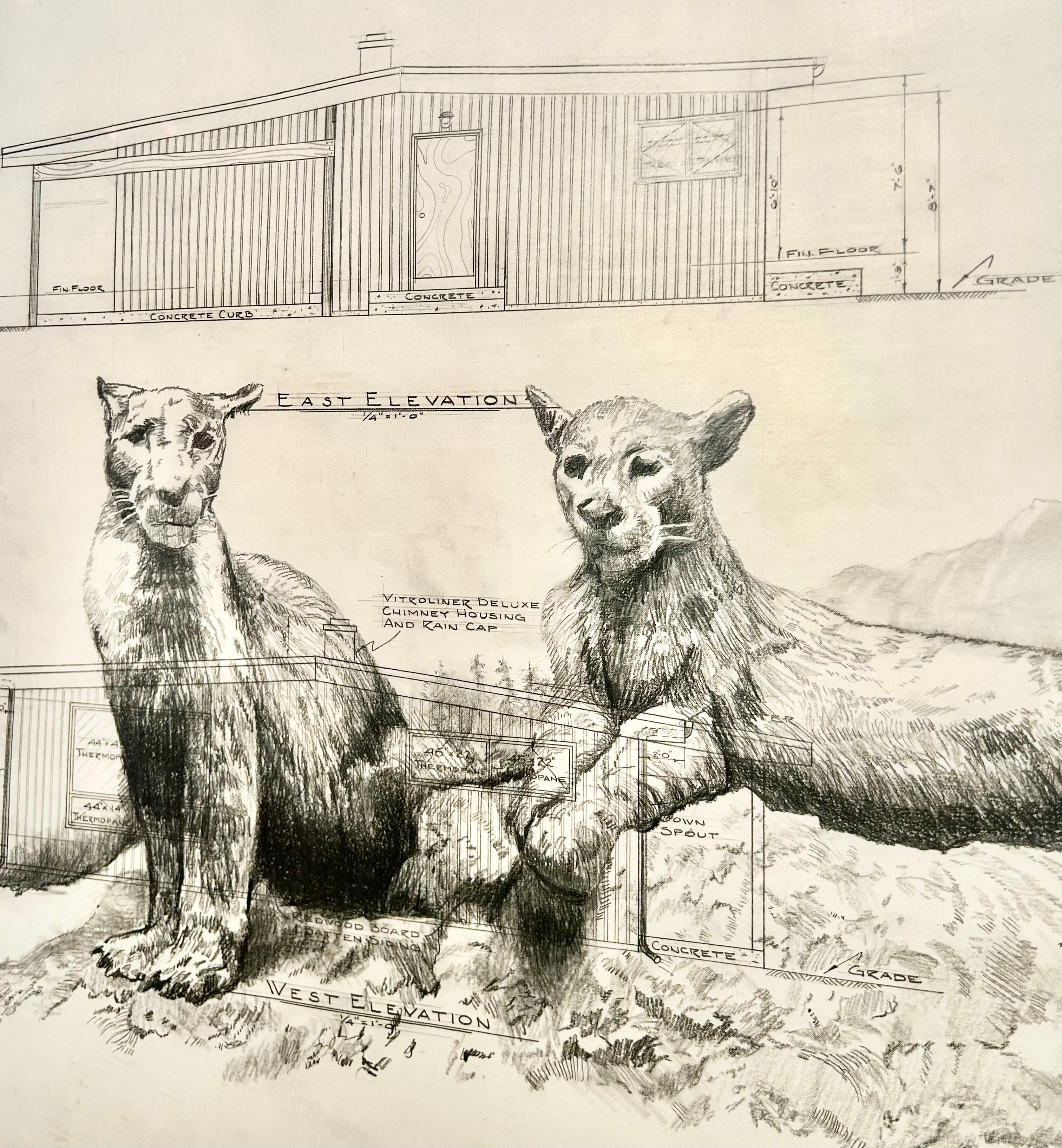 Hace más de cien años, mi abuelo se registró como granjero en la Oficina de Tierras del Departamento del Interior en Buffalo, Wyoming.  Construyó una cabaña en un remoto terreno de 640 acres y trabajó como peón en el vecino rancho Tipperary, a