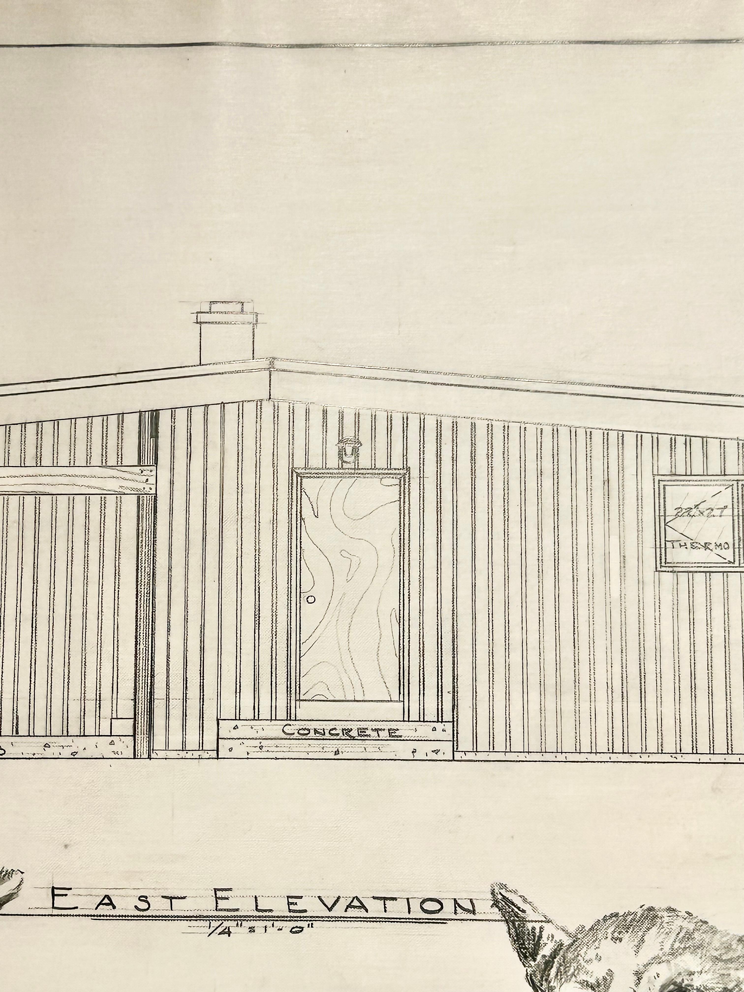 Centinela - Leones de montaña en grafito sobre pergamino antiguo Dibujo arquitectónico 1