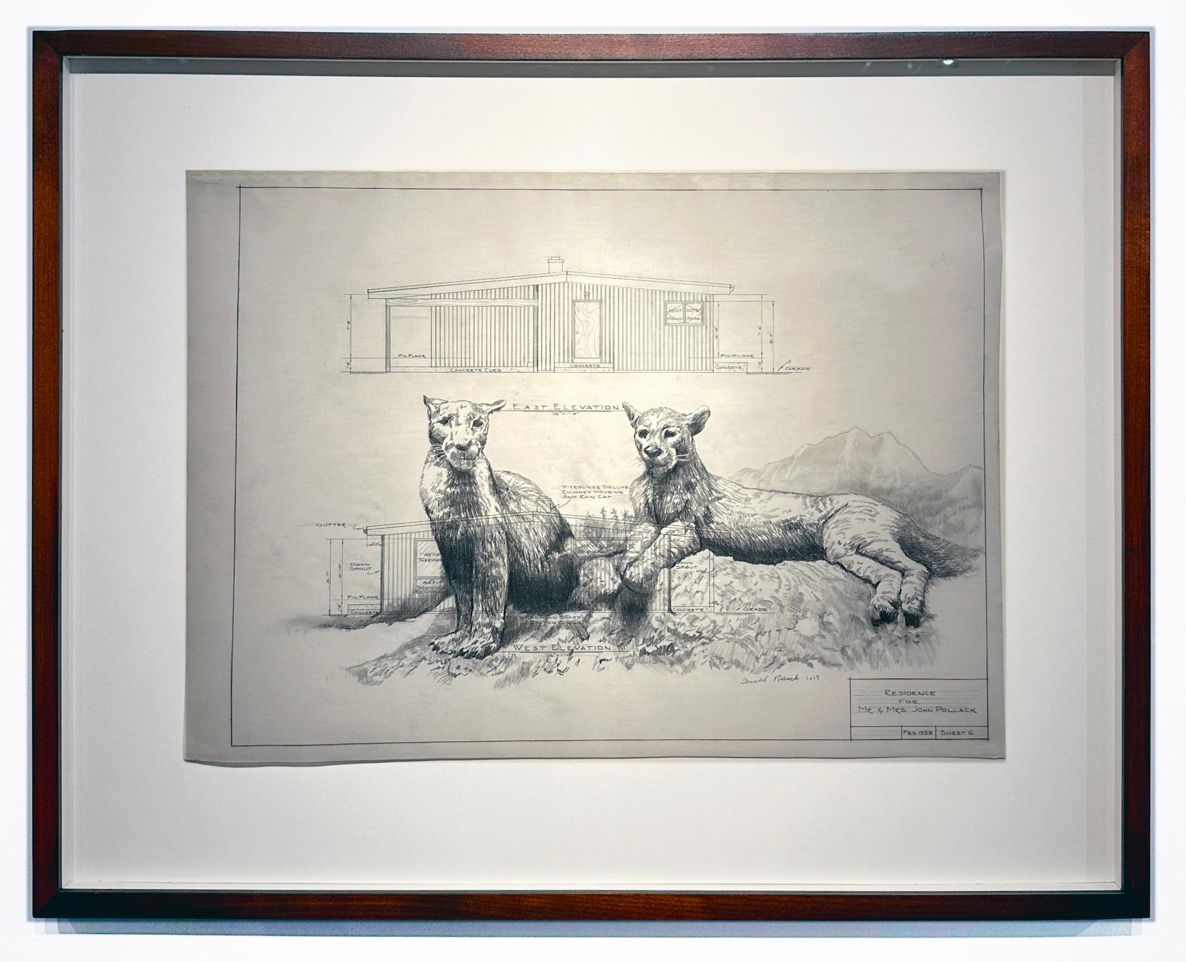 Landscape Art de Don Pollack - Centinela - Leones de montaña en grafito sobre pergamino antiguo Dibujo arquitectónico