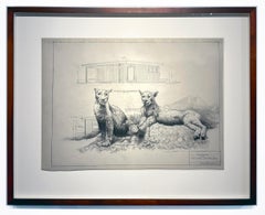 Sentinelle - Lions de montagne en graphite sur vélin ancien Dessin d'architecture